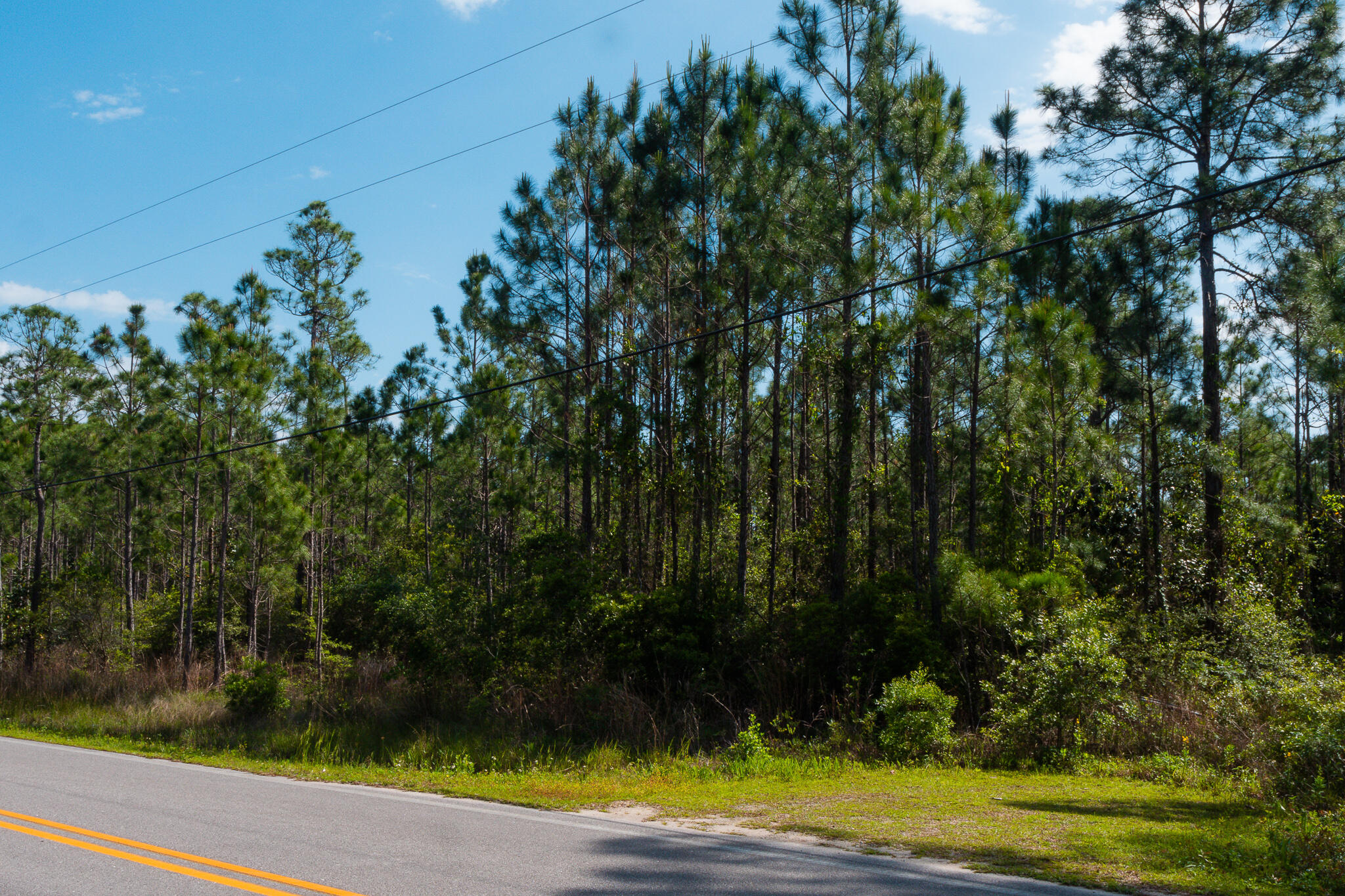 Tbd N County Highway 393 Santa Rosa Beach FL 32459