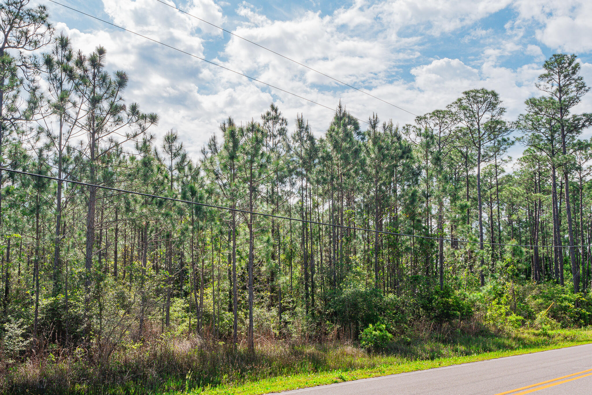 Tbd N County Highway 393 Santa Rosa Beach FL 32459
