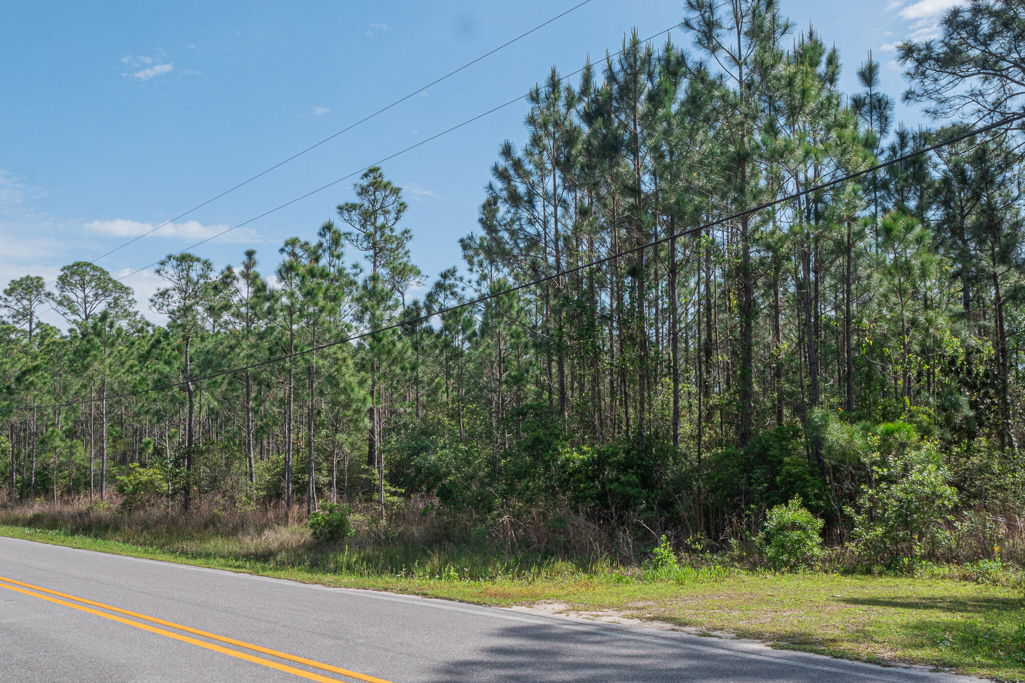 Tbd N County Highway 393 Santa Rosa Beach FL 32459