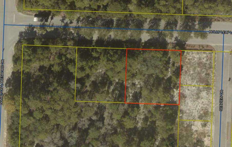 52 Holly Leaf Lane Inlet Beach FL 32461