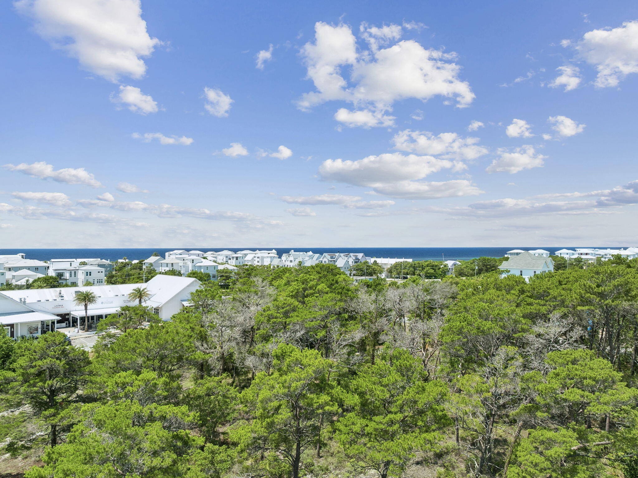 52 Holly Leaf Lane Inlet Beach FL 32461
