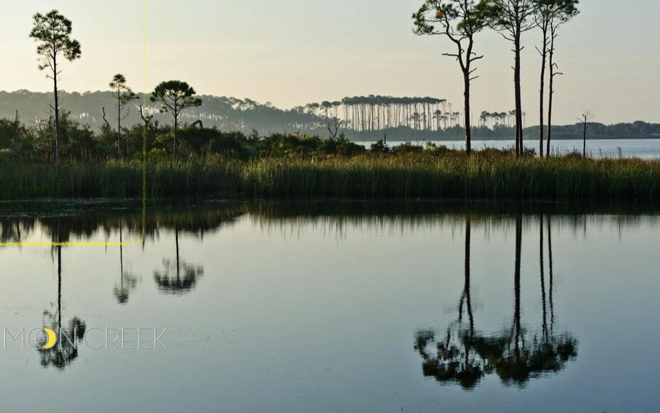 Lot 8 Wilderness Way Santa Rosa Beach FL 32459