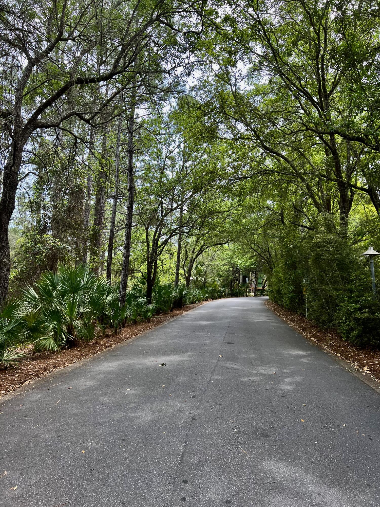 Lot 8 Wilderness Way Santa Rosa Beach FL 32459