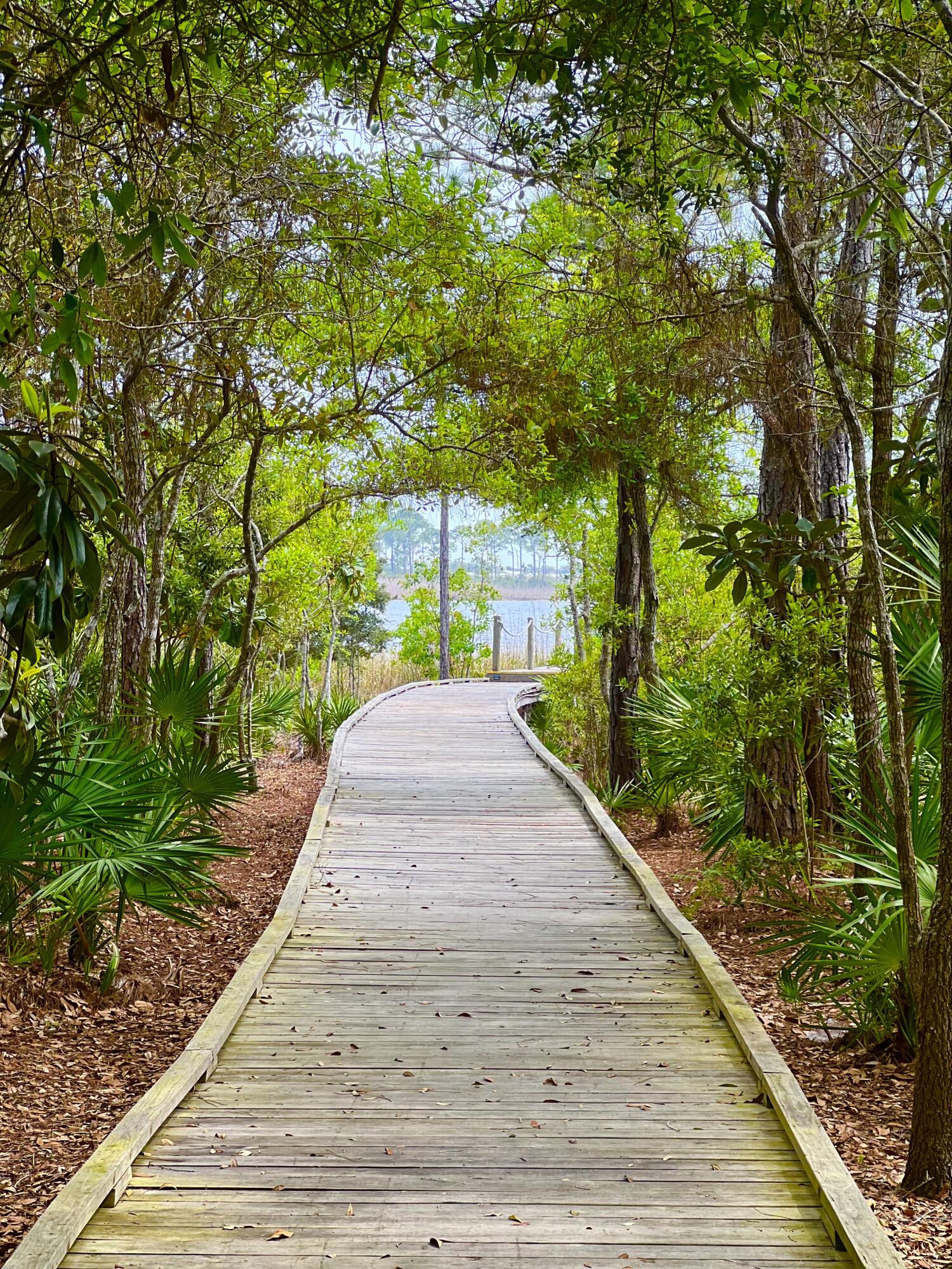 Lot 8 Wilderness Way Santa Rosa Beach FL 32459
