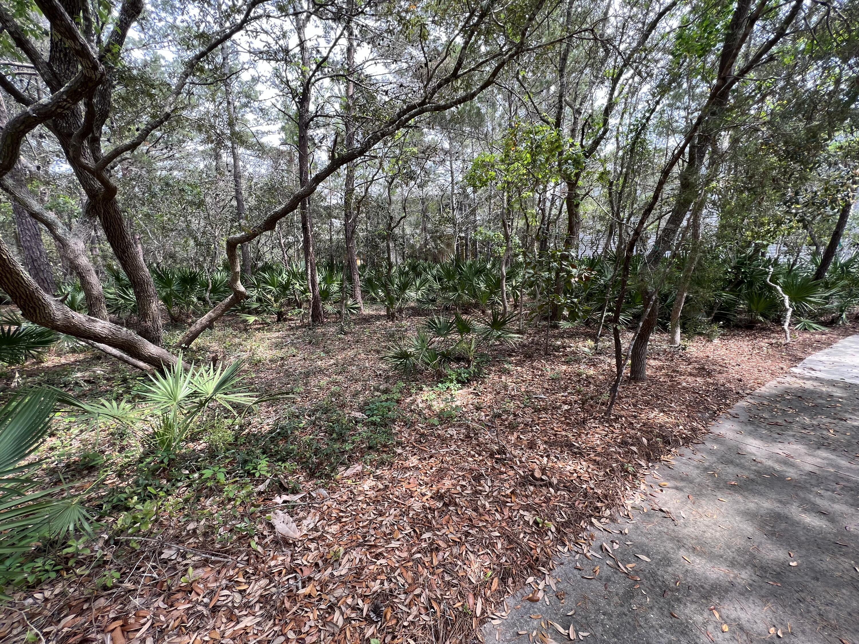 Lot 8 Wilderness Way Santa Rosa Beach FL 32459