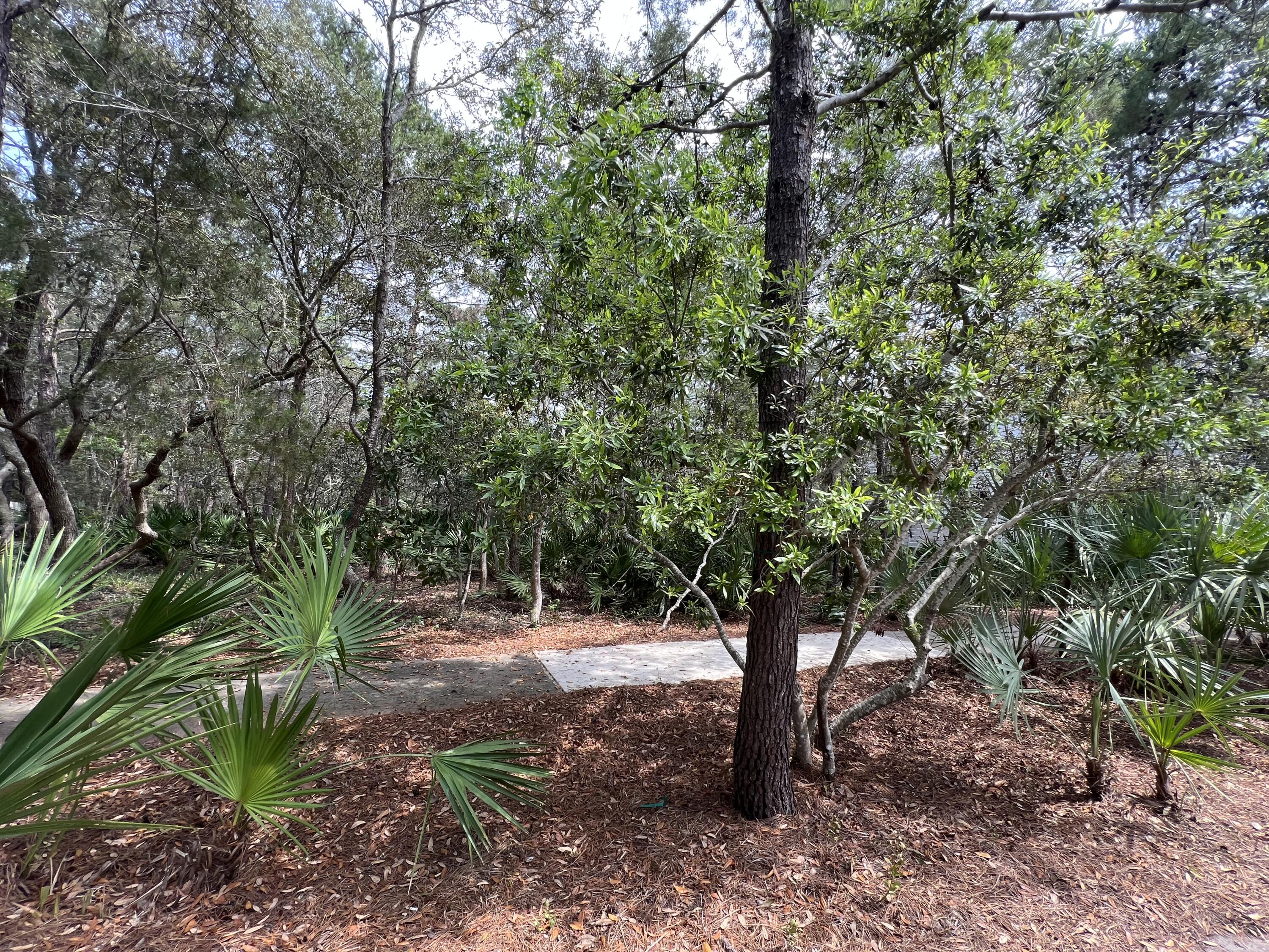 Lot 8 Wilderness Way Santa Rosa Beach FL 32459