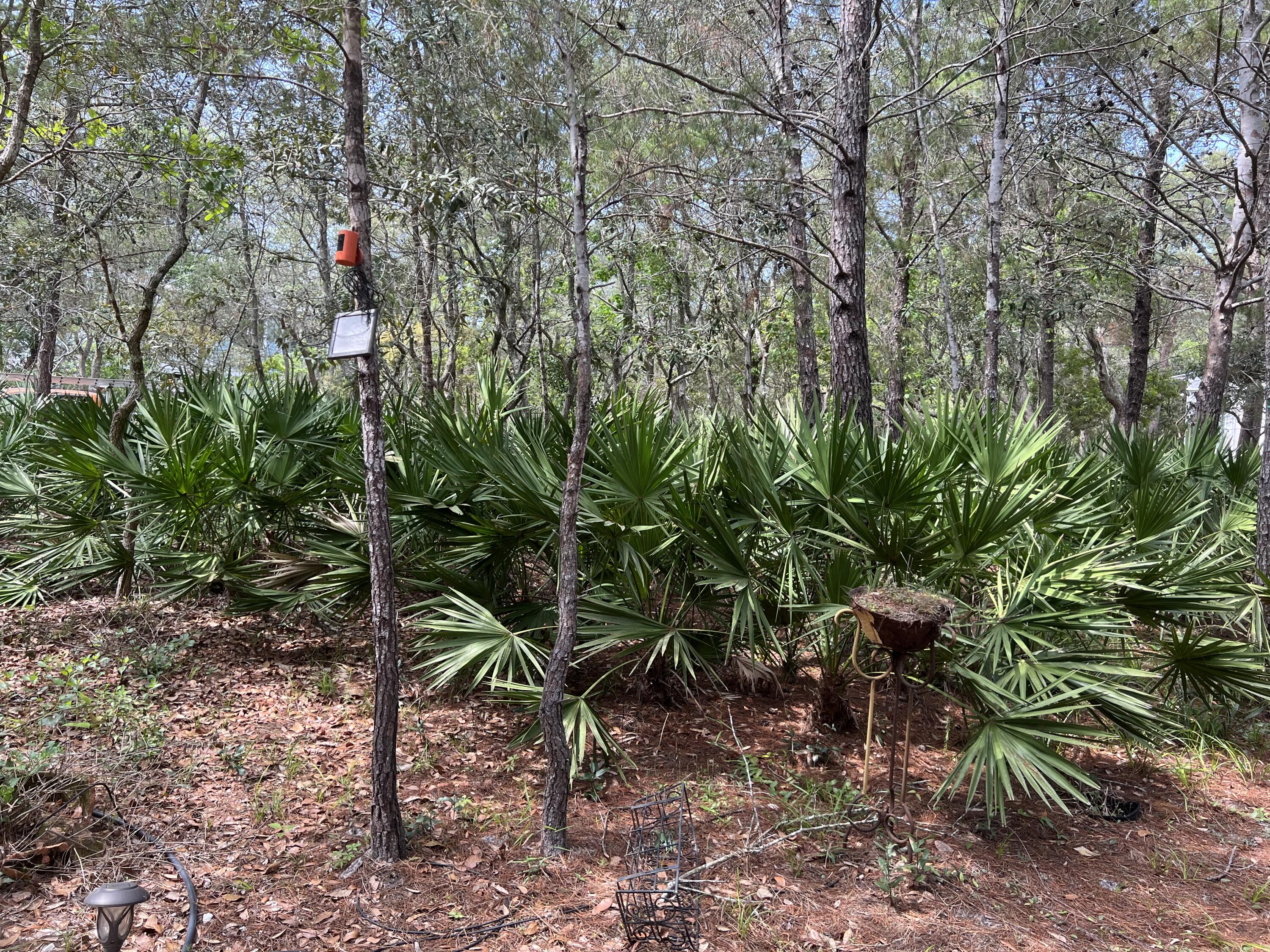 Lot 8 Wilderness Way Santa Rosa Beach FL 32459