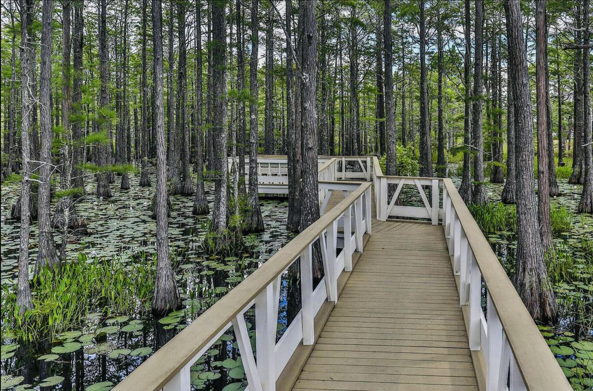 129 Cypress Drive Santa Rosa Beach FL 32459