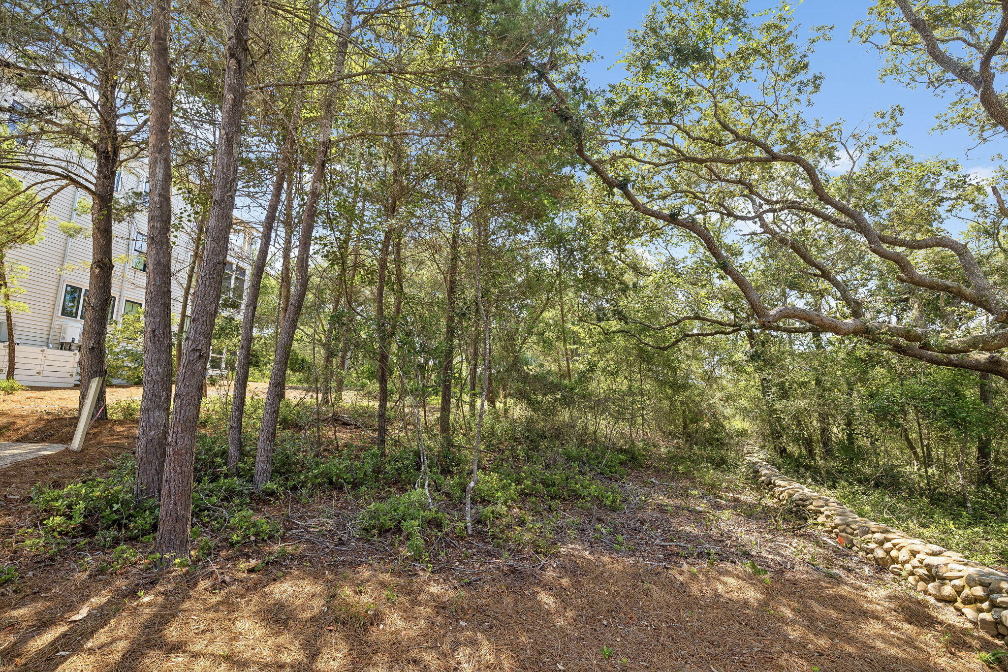 Lot 3 Dewberry Lane Santa Rosa Beach FL 32459