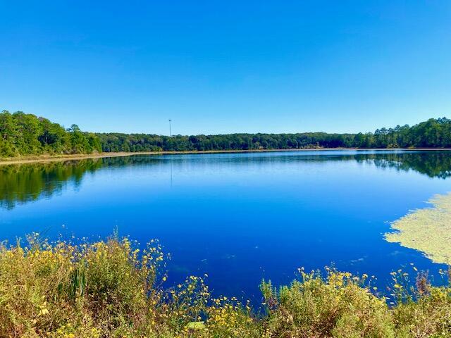 2.37AC Martin Road Defuniak Springs FL 32433