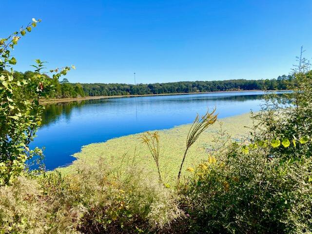 2.37AC Martin Road Defuniak Springs FL 32433