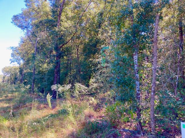 2.37AC Martin Road Defuniak Springs FL 32433