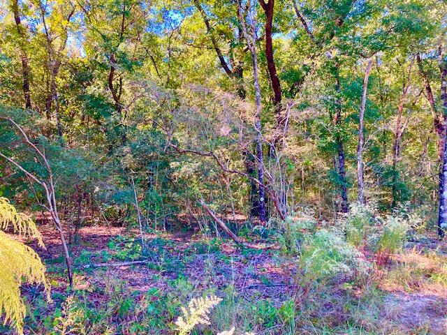 2.37AC Martin Road Defuniak Springs FL 32433