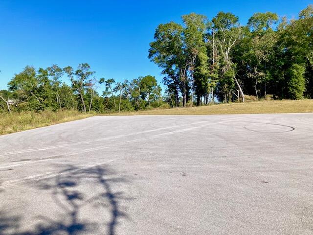 2.37AC Martin Road Defuniak Springs FL 32433