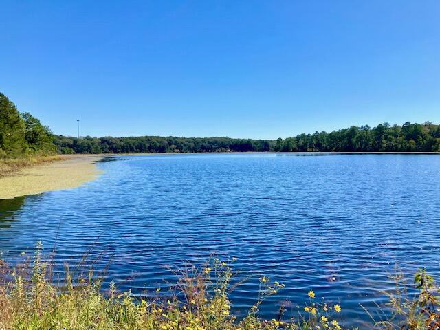 2.37AC Martin Road Defuniak Springs FL 32433