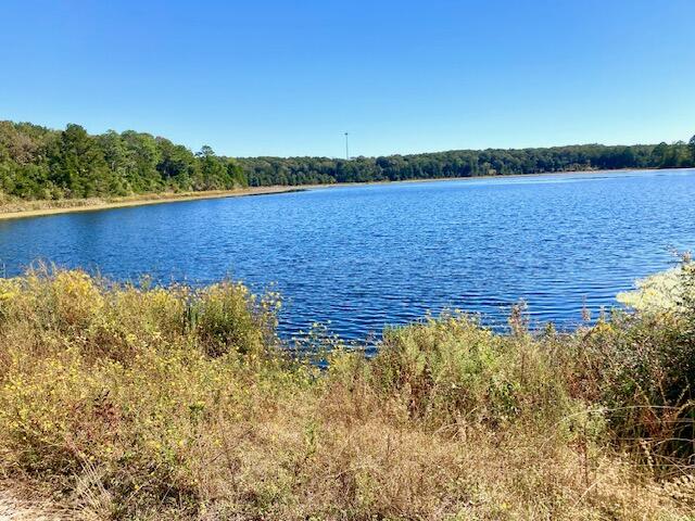 2.37AC Martin Road Defuniak Springs FL 32433