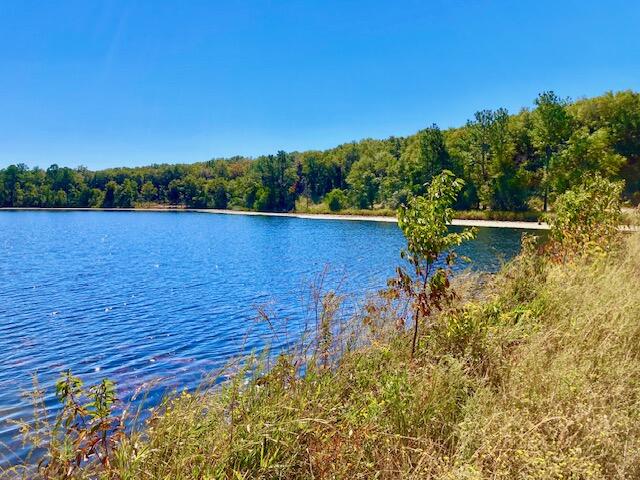2.37AC Martin Road Defuniak Springs FL 32433