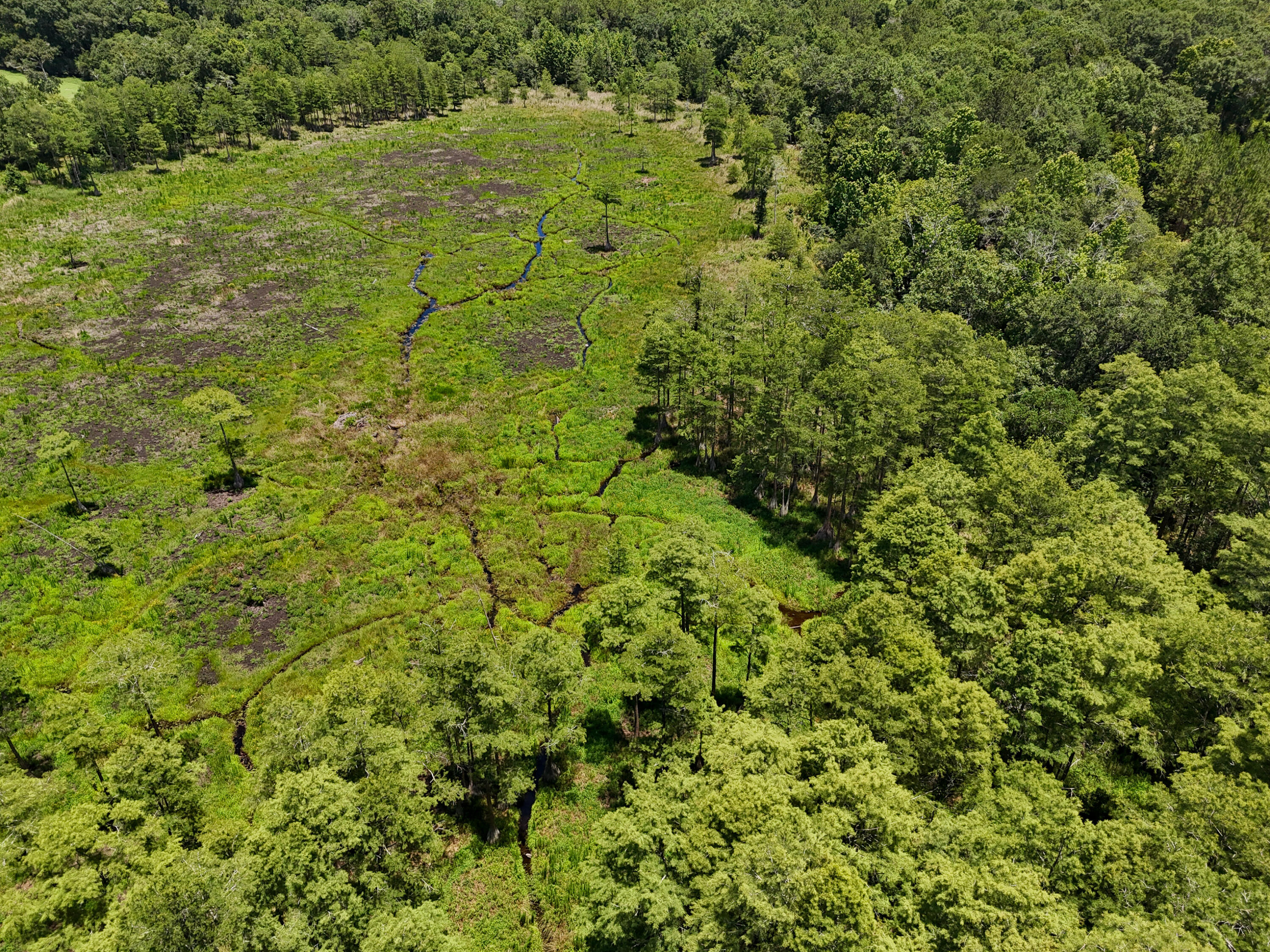 Tbd St Highway 83 Westville FL 32464