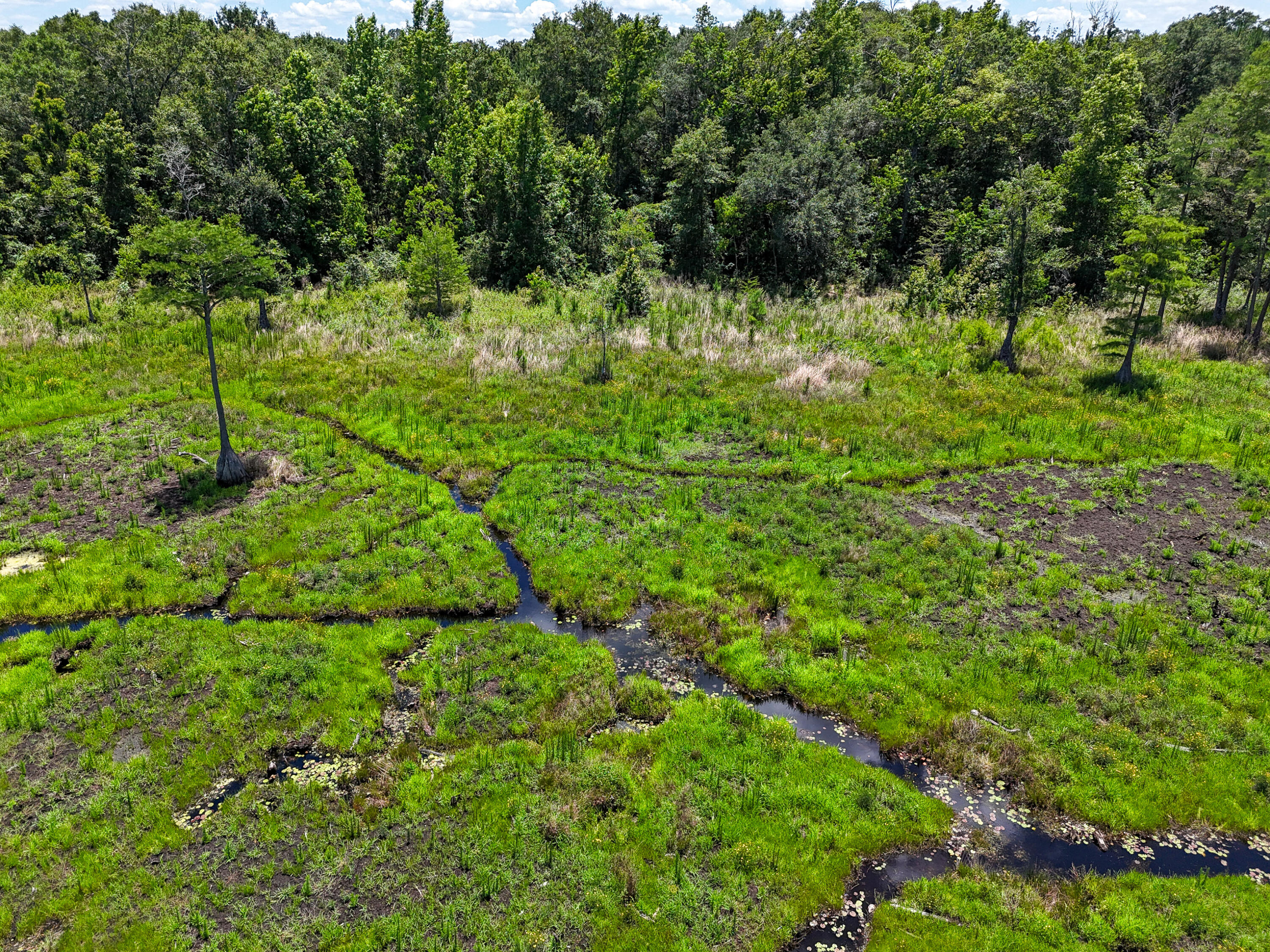 Tbd St Highway 83 Westville FL 32464