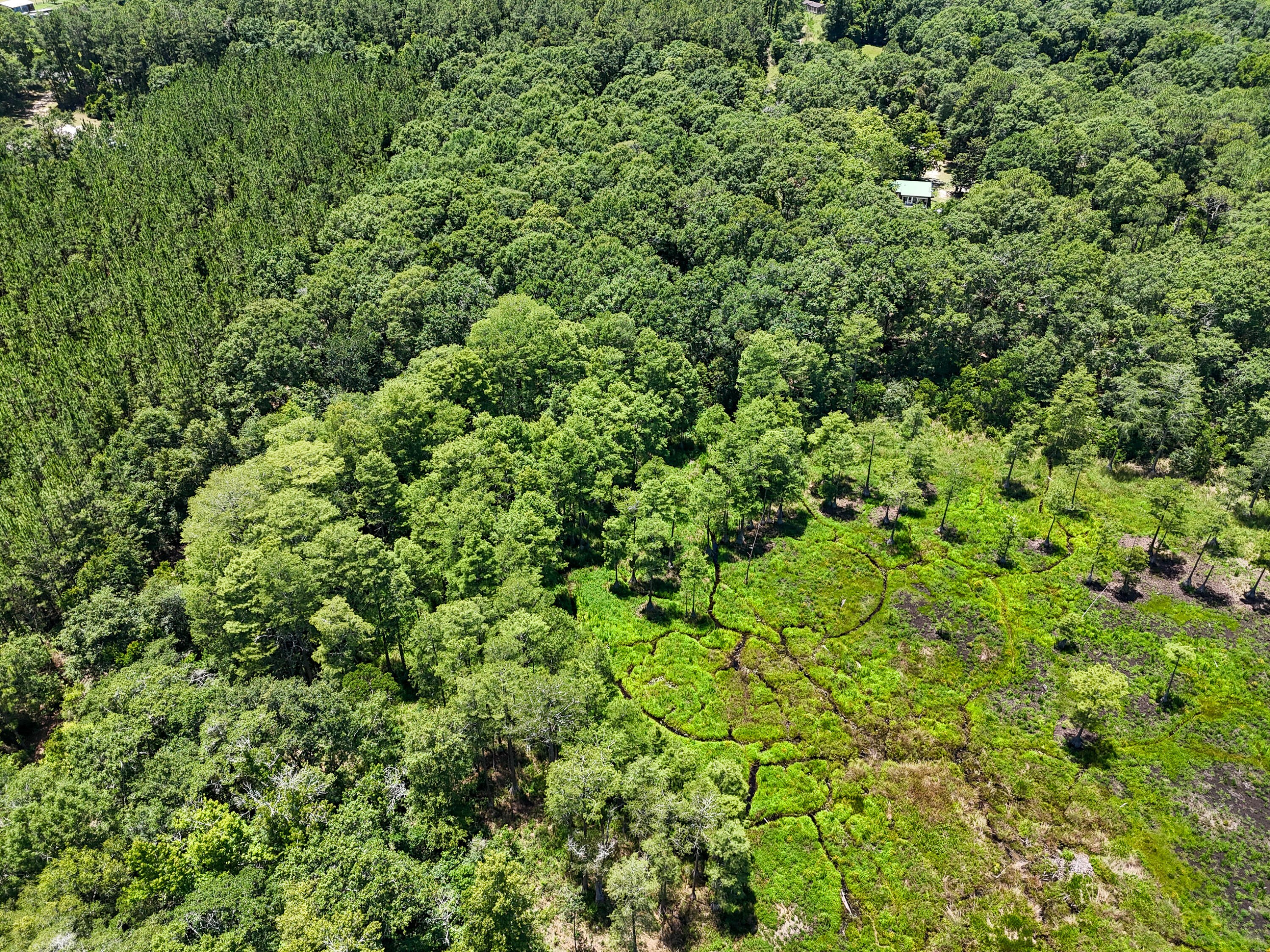 Tbd St Highway 83 Westville FL 32464