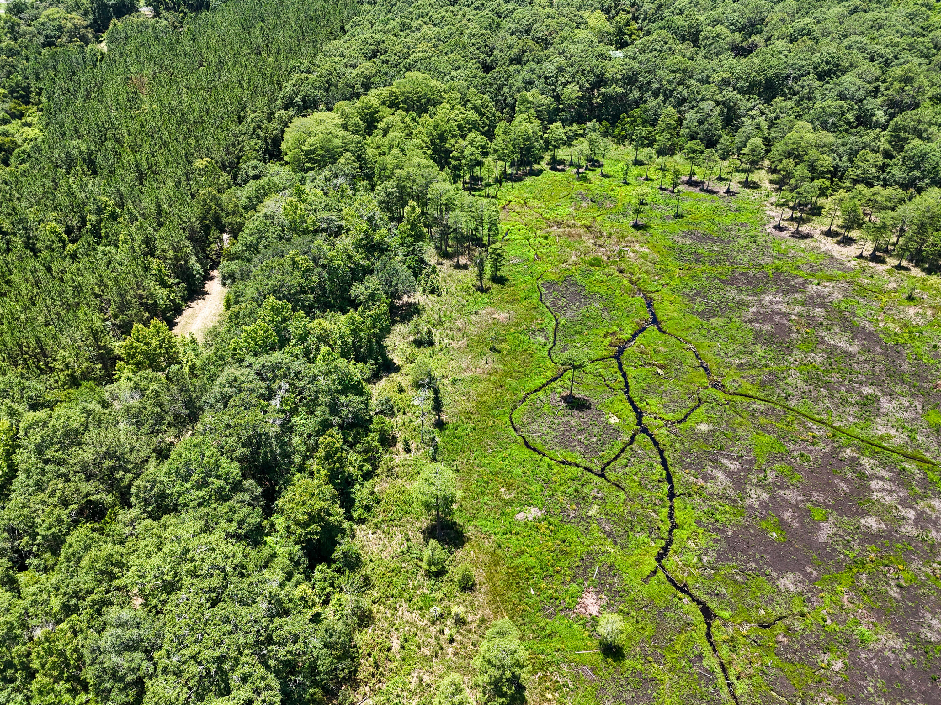 Tbd St Highway 83 Westville FL 32464