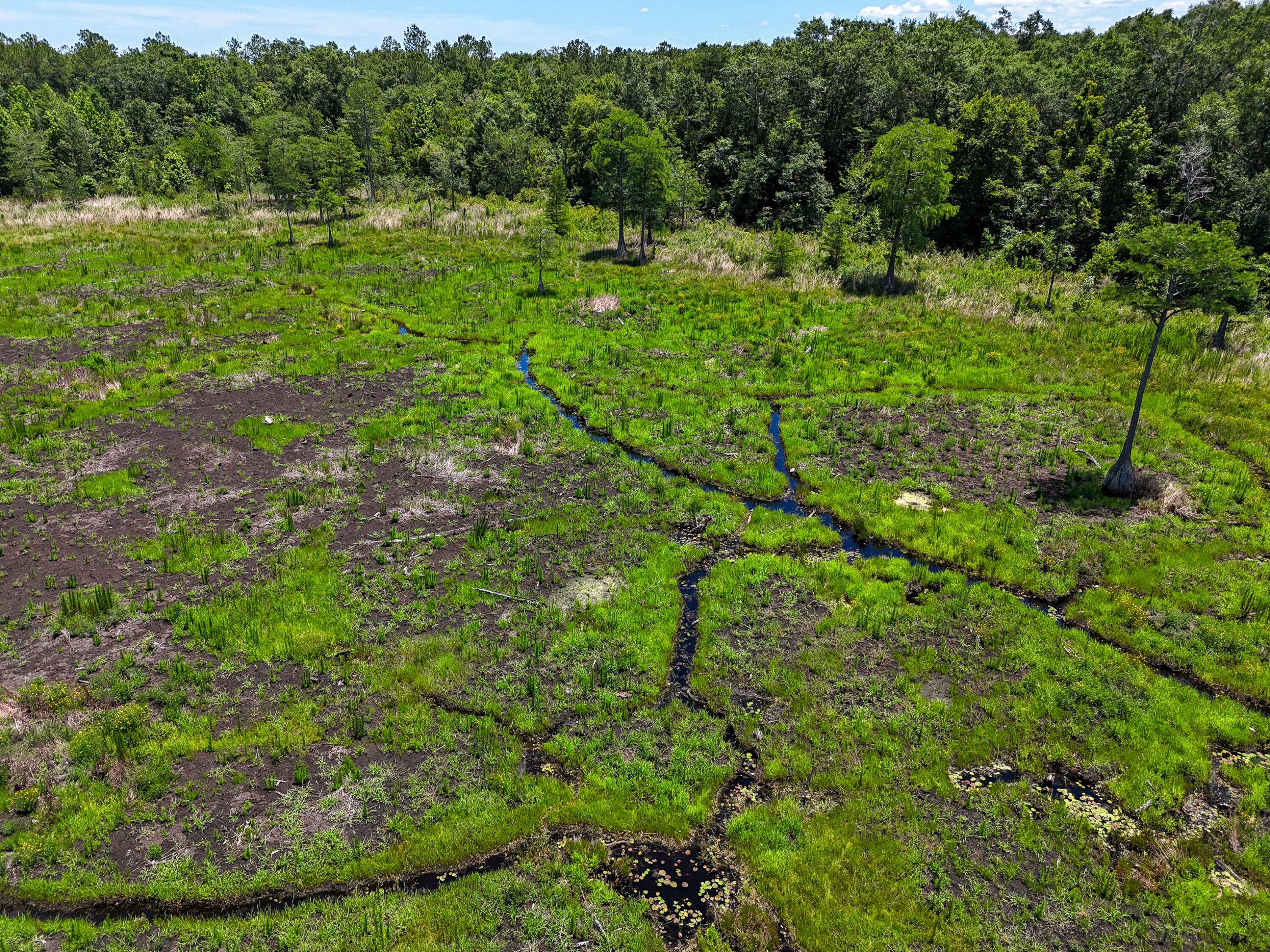 Tbd St Highway 83 Westville FL 32464