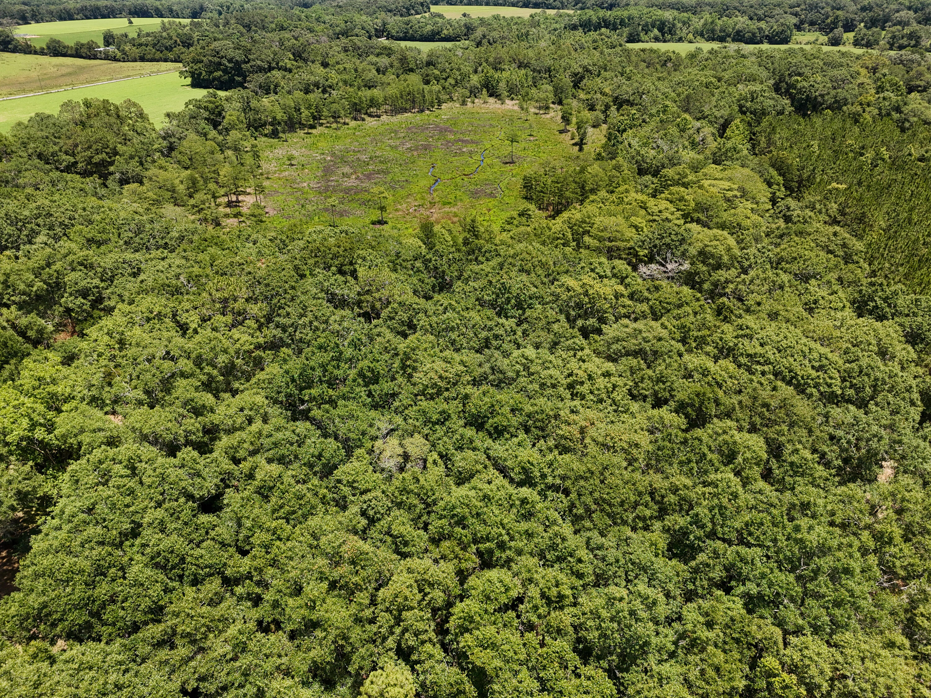 Tbd St Highway 83 Westville FL 32464