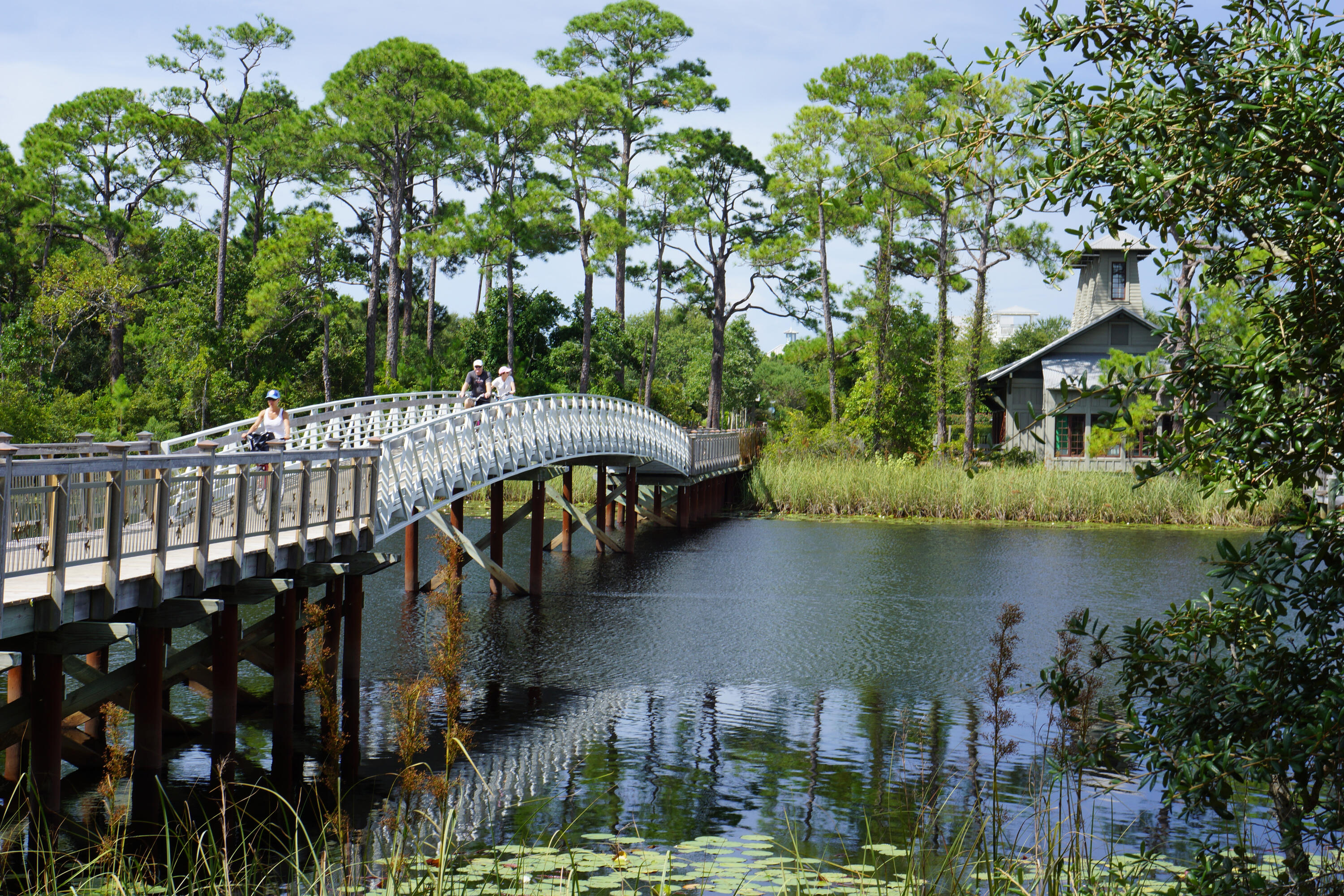 1A Adams Way Santa Rosa Beach FL 32459