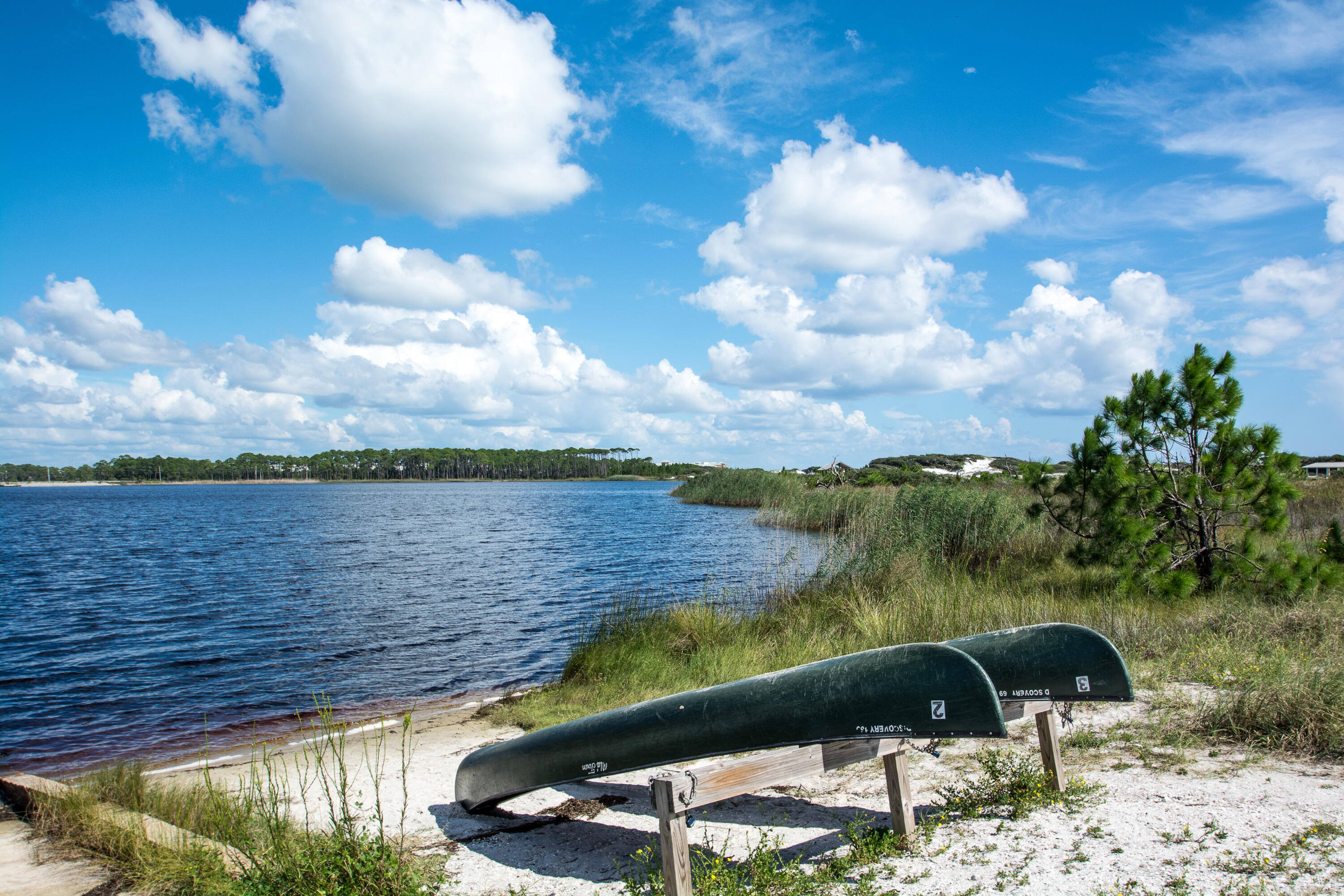 1A Adams Way Santa Rosa Beach FL 32459
