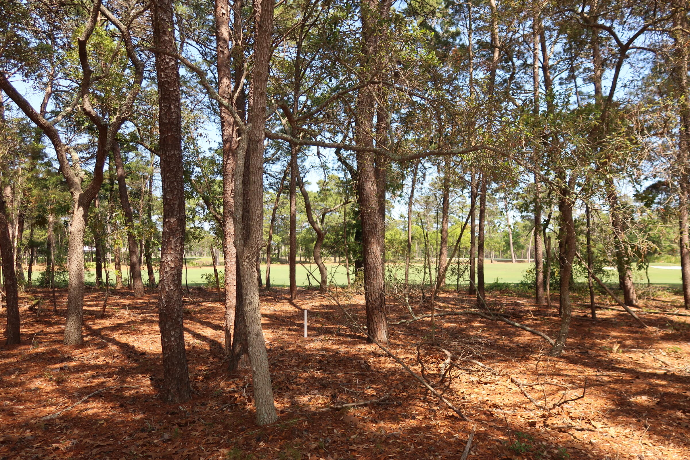 1626 Lost Cove Lane Panama City Beach FL 32413