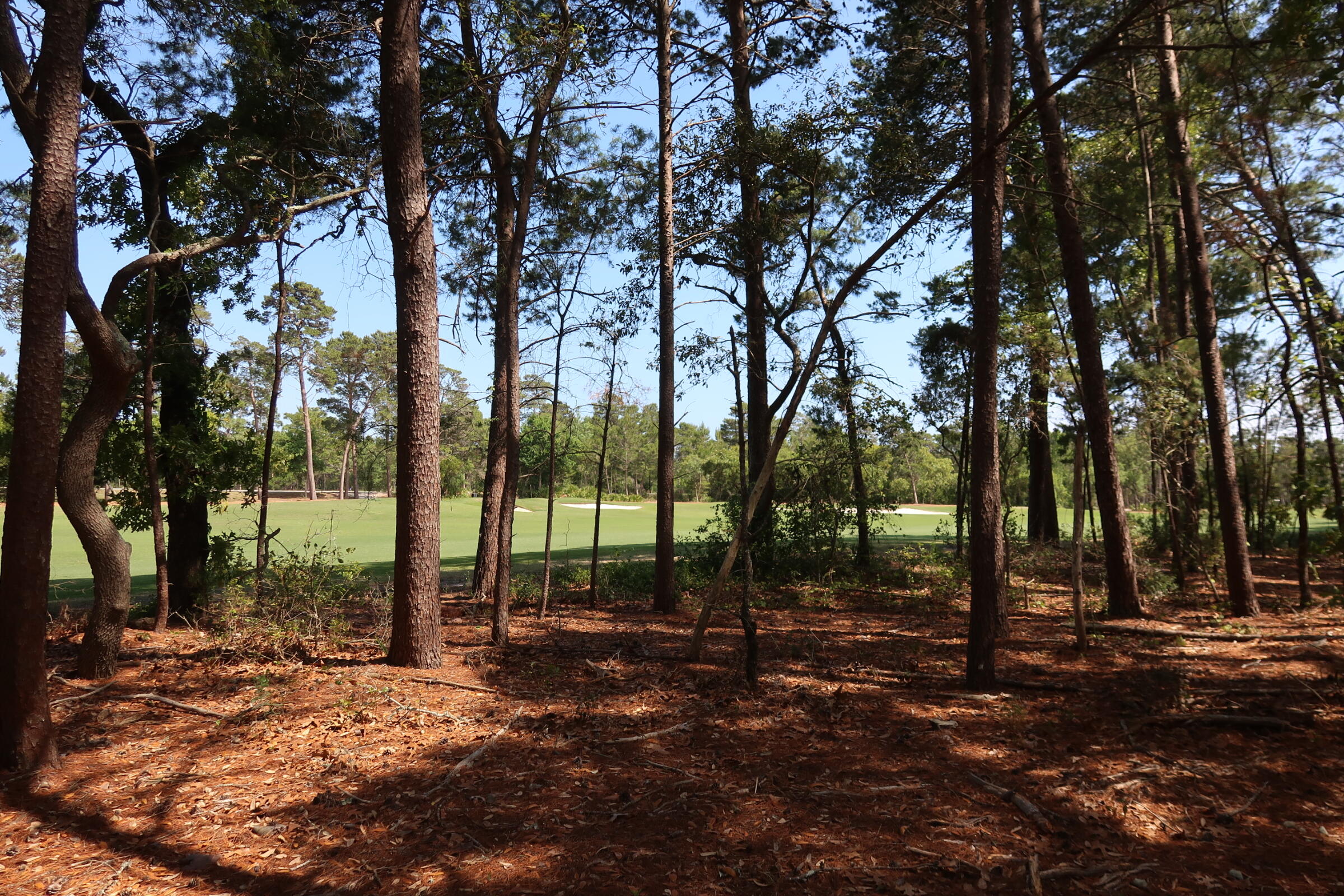 1626 Lost Cove Lane Panama City Beach FL 32413