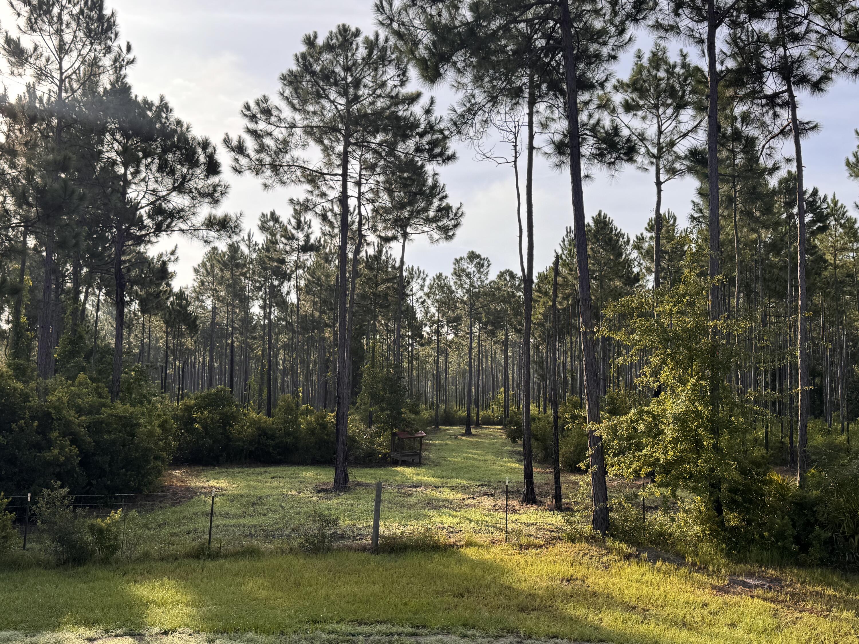 632 N Church Street Santa Rosa Beach FL 32459