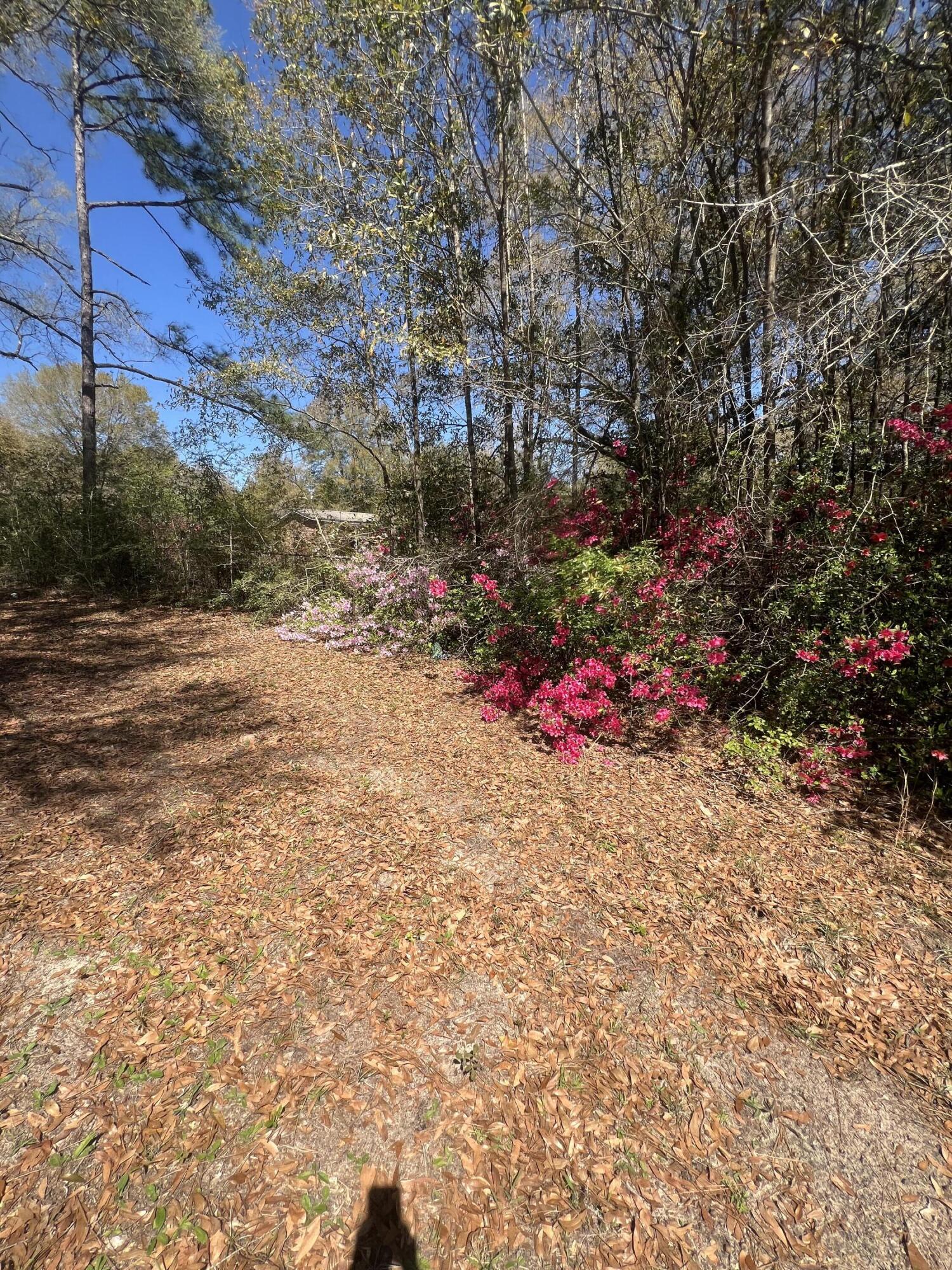 1721 W Highway 90 Baker FL 32531
