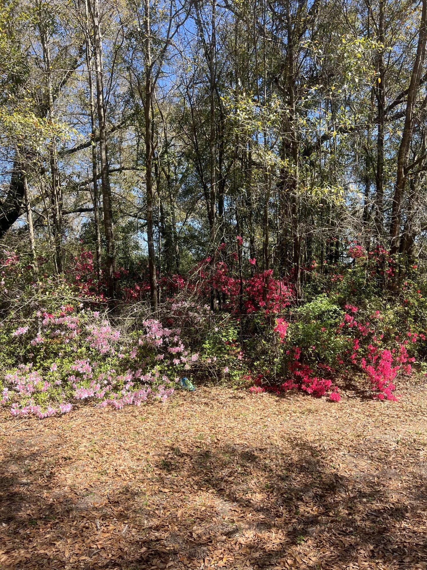 1721 W Highway 90 Baker FL 32531