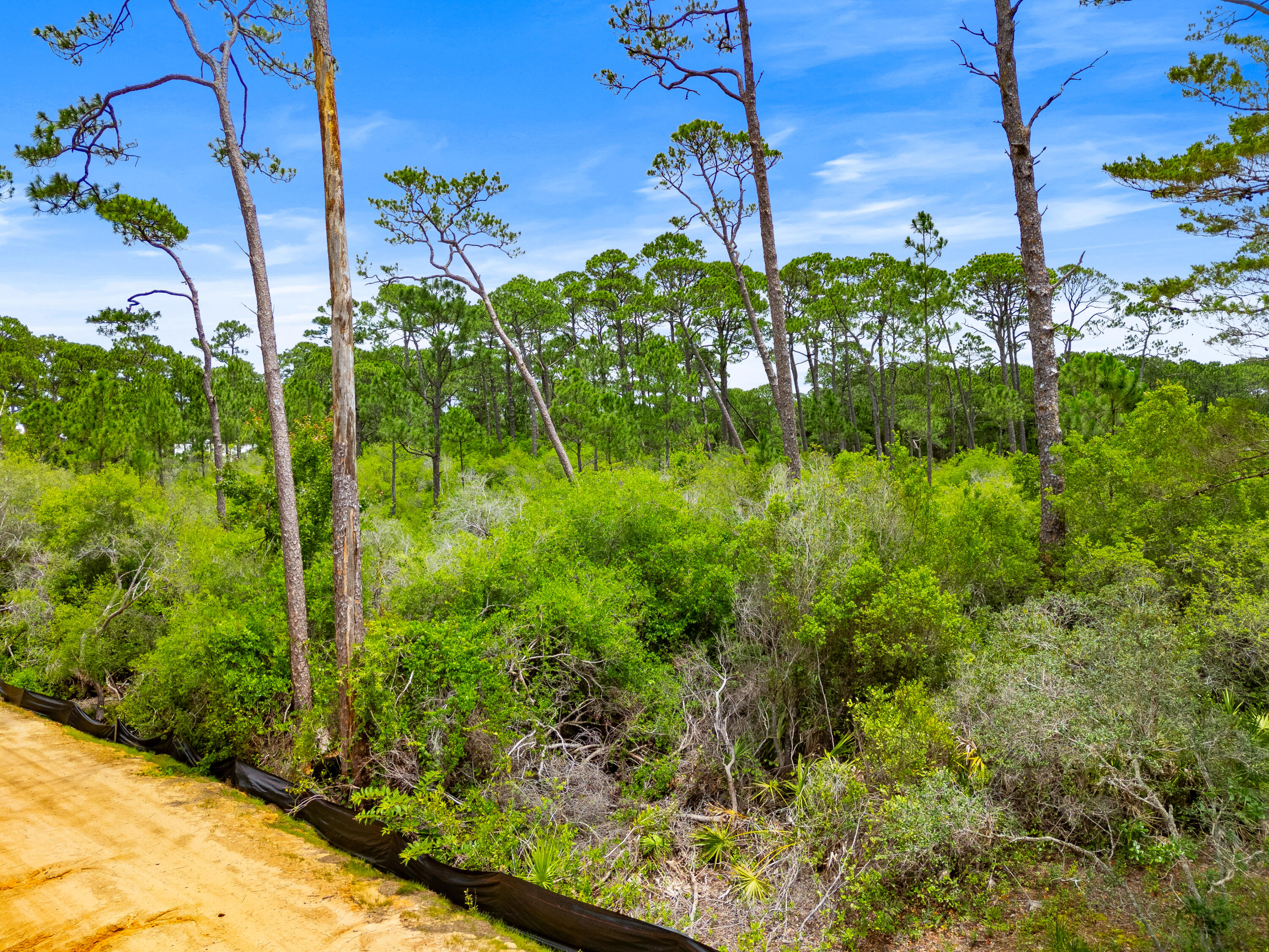 Lot 22 Old Winston Circle Santa Rosa Beach FL 32459