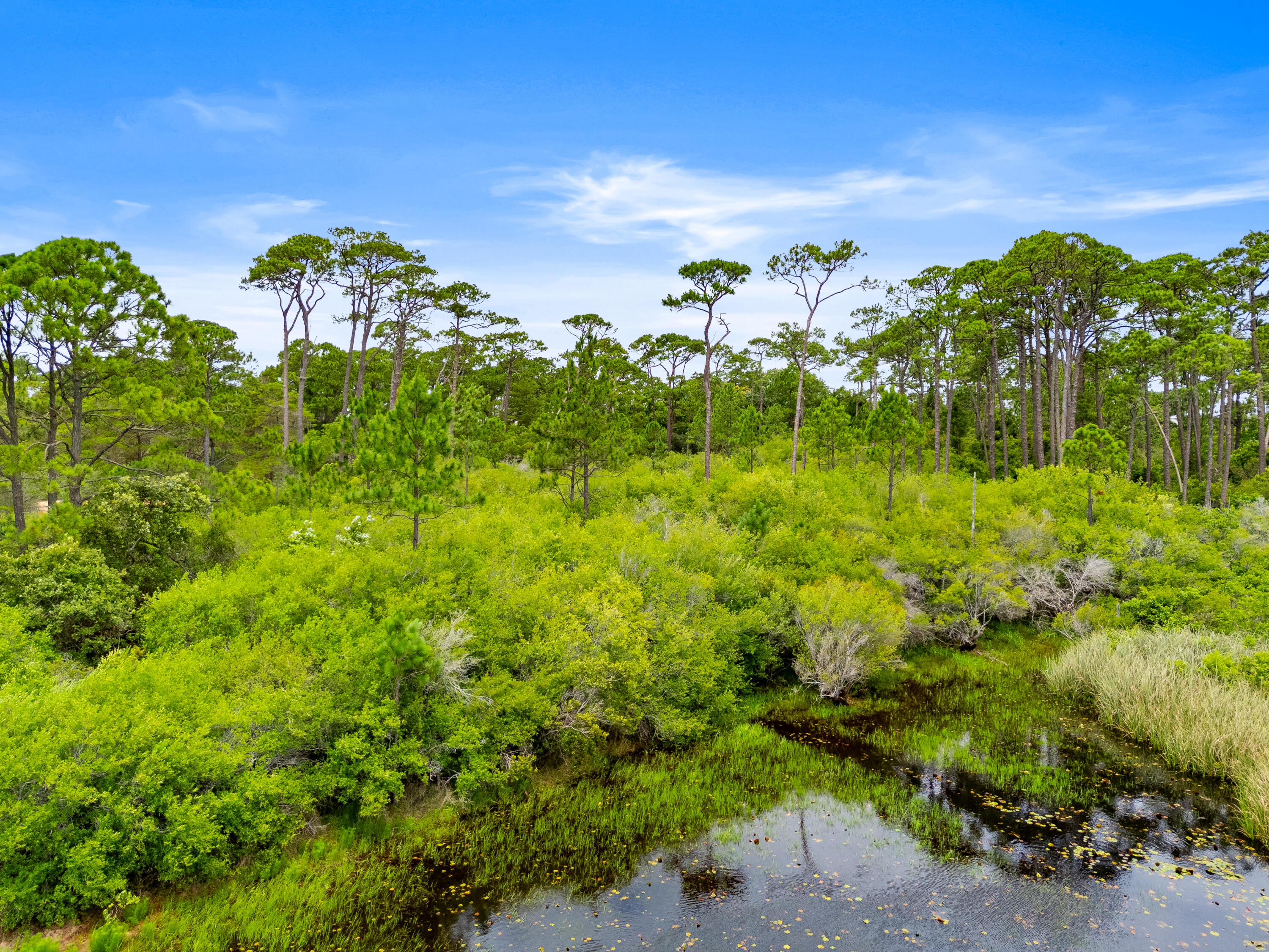Lot 22 Old Winston Circle Santa Rosa Beach FL 32459