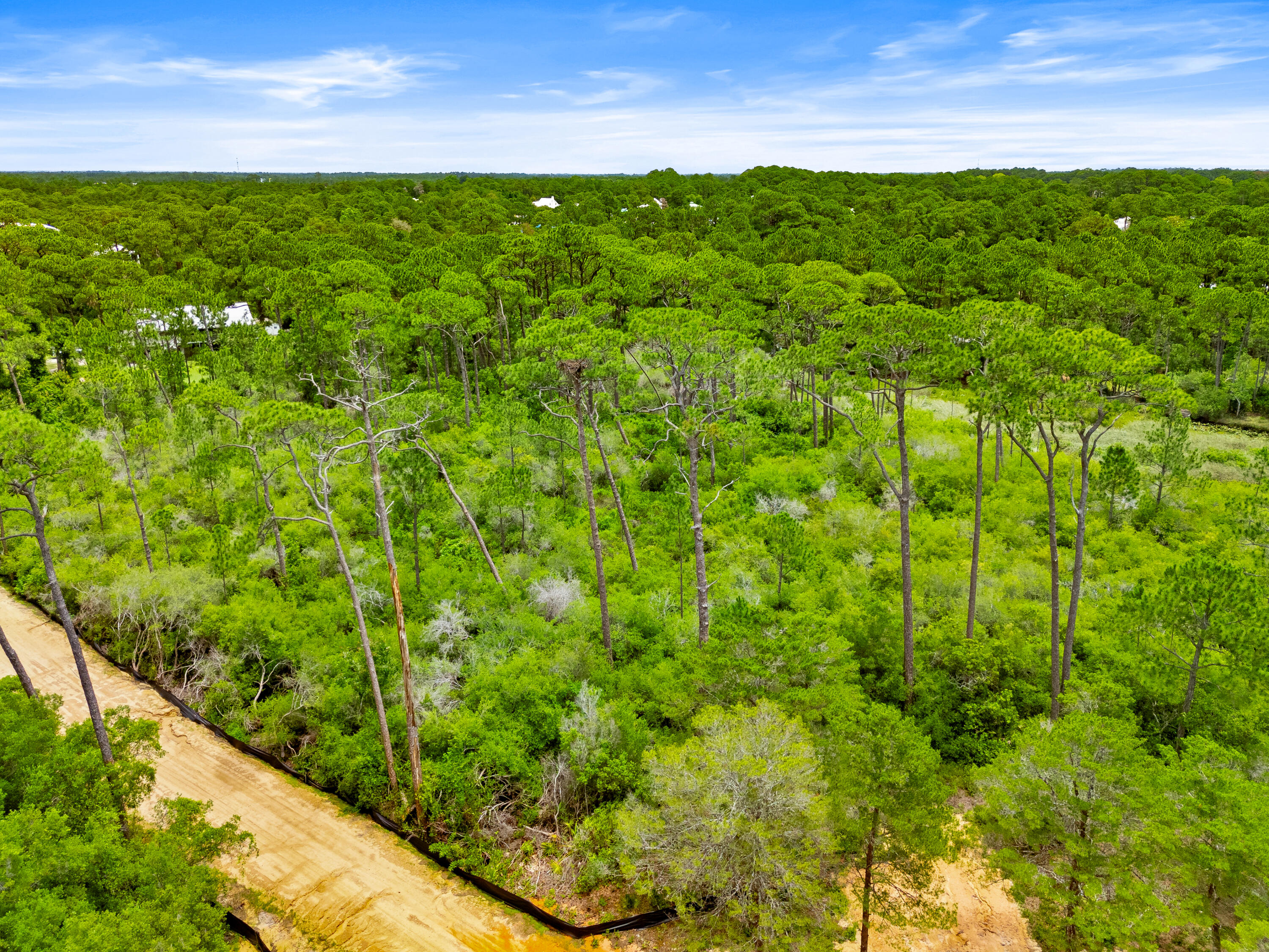 Lot 22 Old Winston Circle Santa Rosa Beach FL 32459