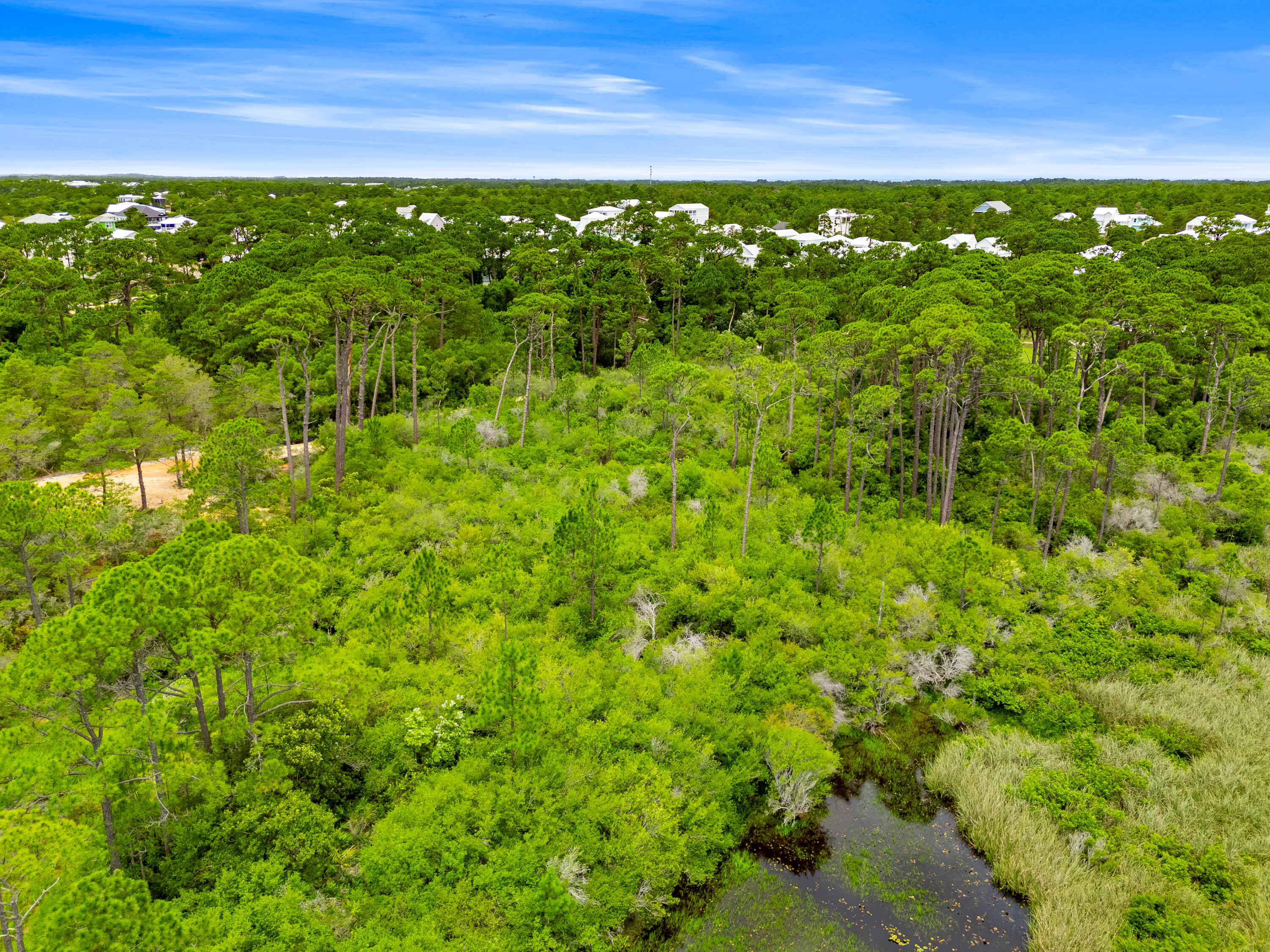 Lot 22 Old Winston Circle Santa Rosa Beach FL 32459
