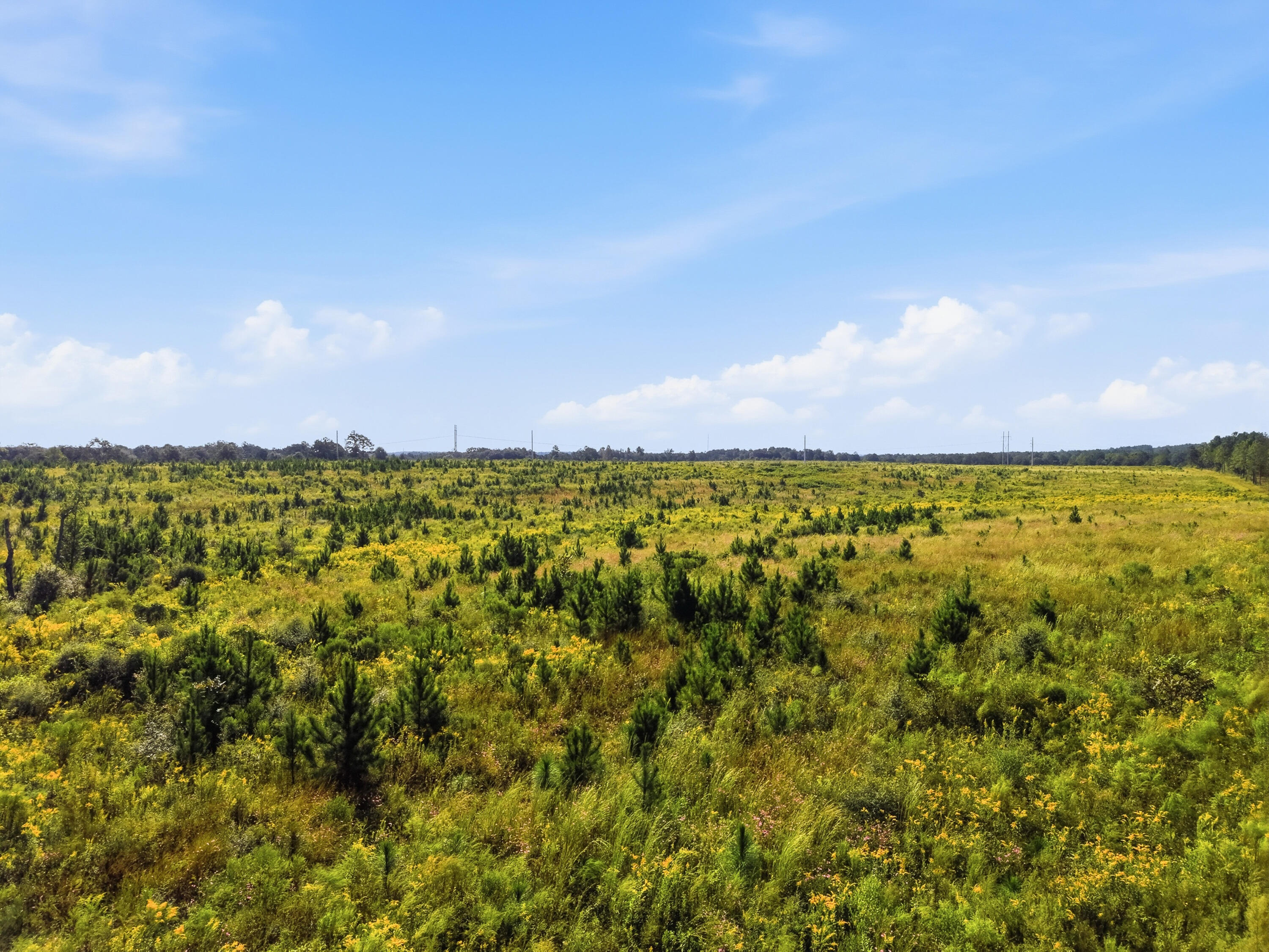 89.6 Acres Co Hwy 2a Road Defuniak Springs FL 32433