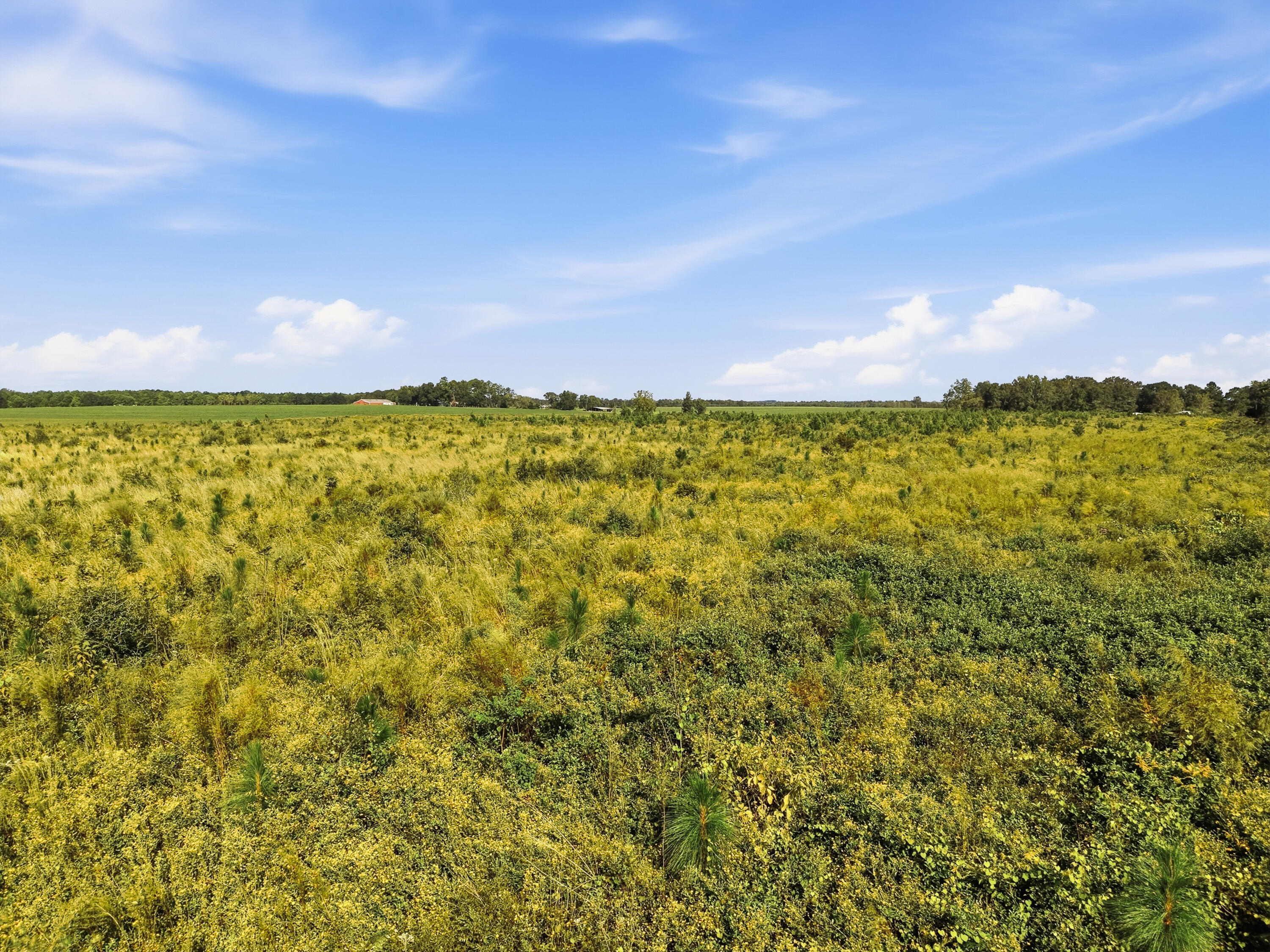 89.6 Acres Co Hwy 2a Road Defuniak Springs FL 32433