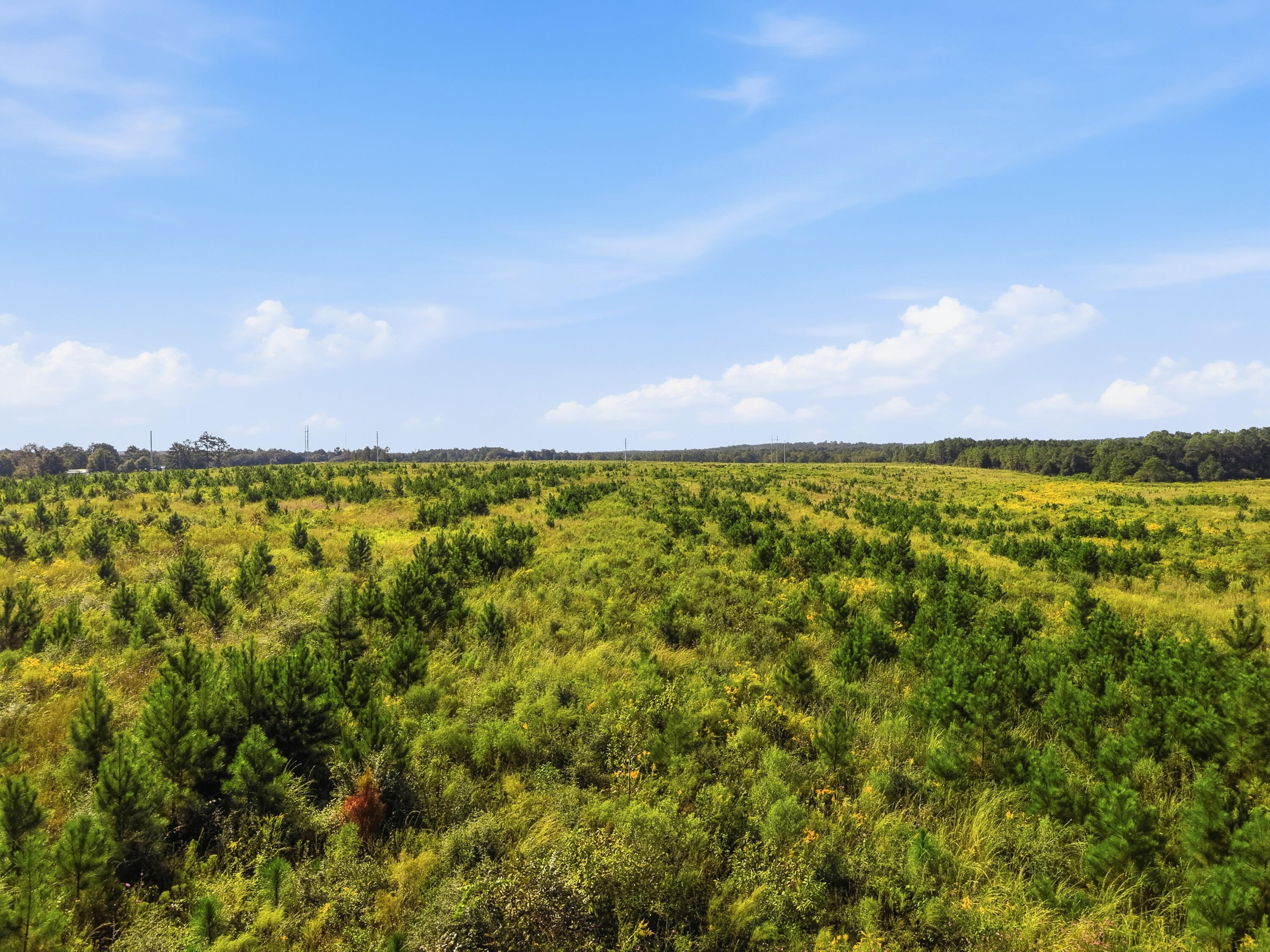 89.6 Acres Co Hwy 2a Road Defuniak Springs FL 32433