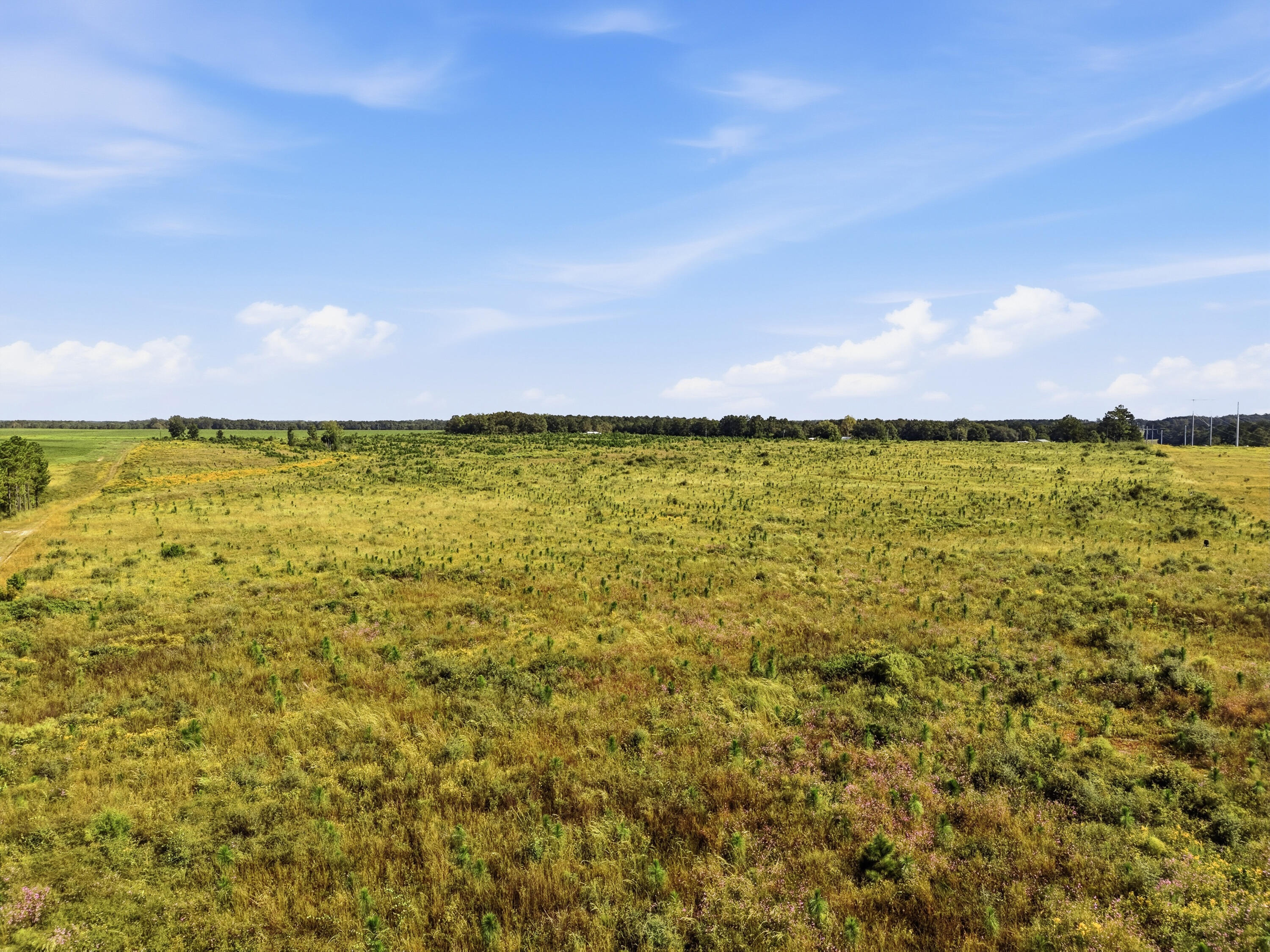89.6 Acres Co Hwy 2a Road Defuniak Springs FL 32433