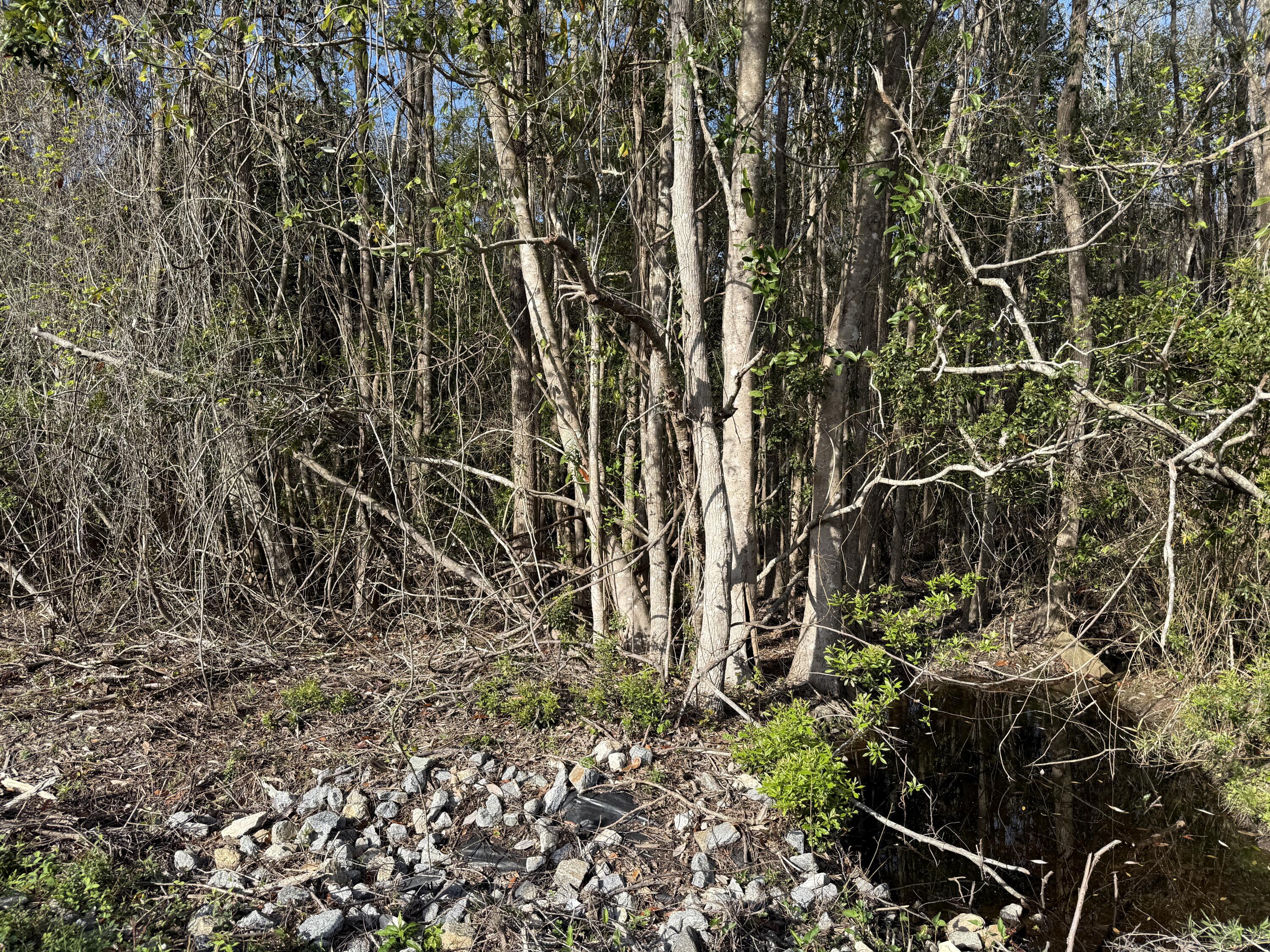 Lot 8 Marsh Avenue Freeport FL 32439