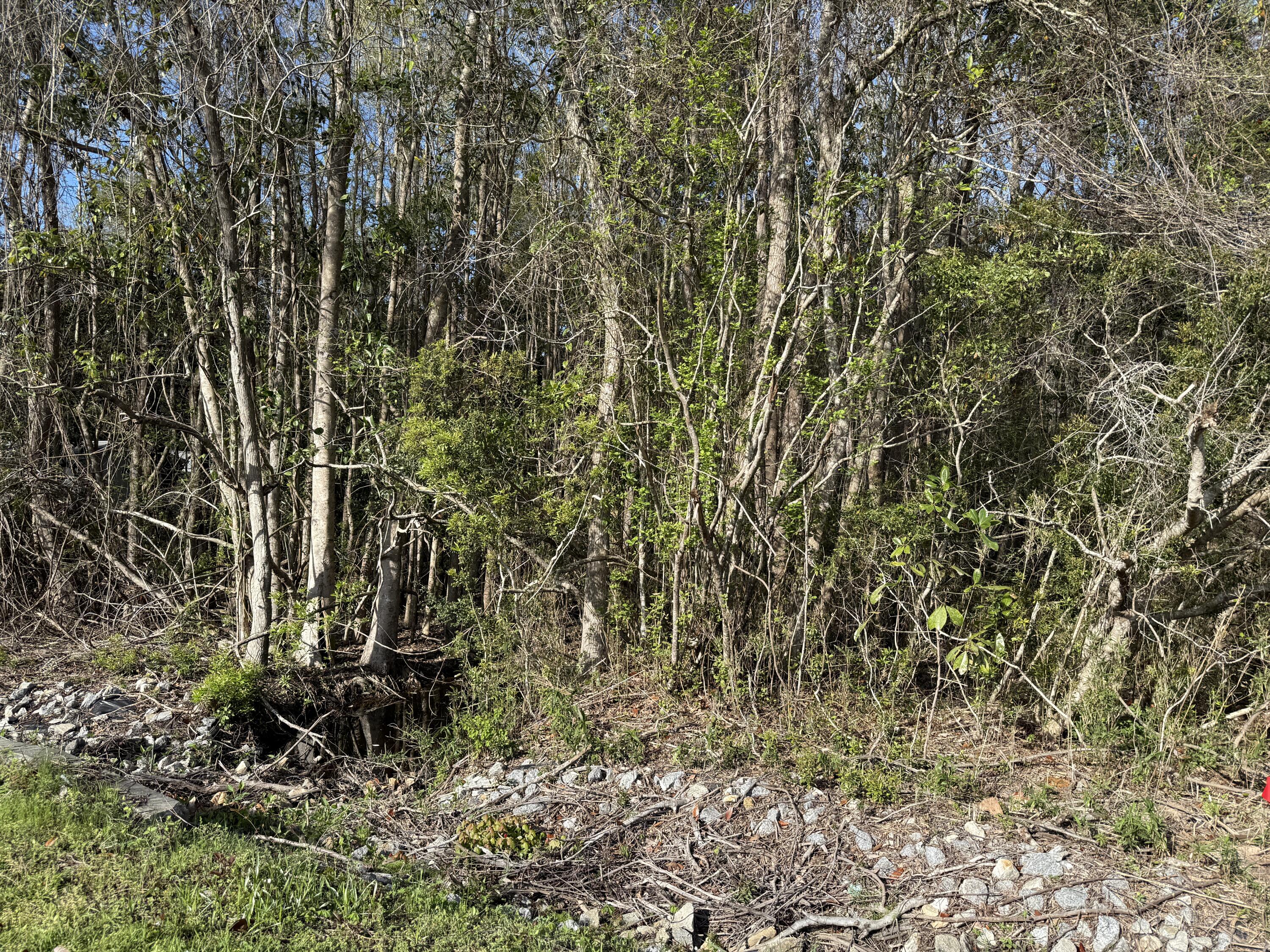 Lot 8 Marsh Avenue Freeport FL 32439