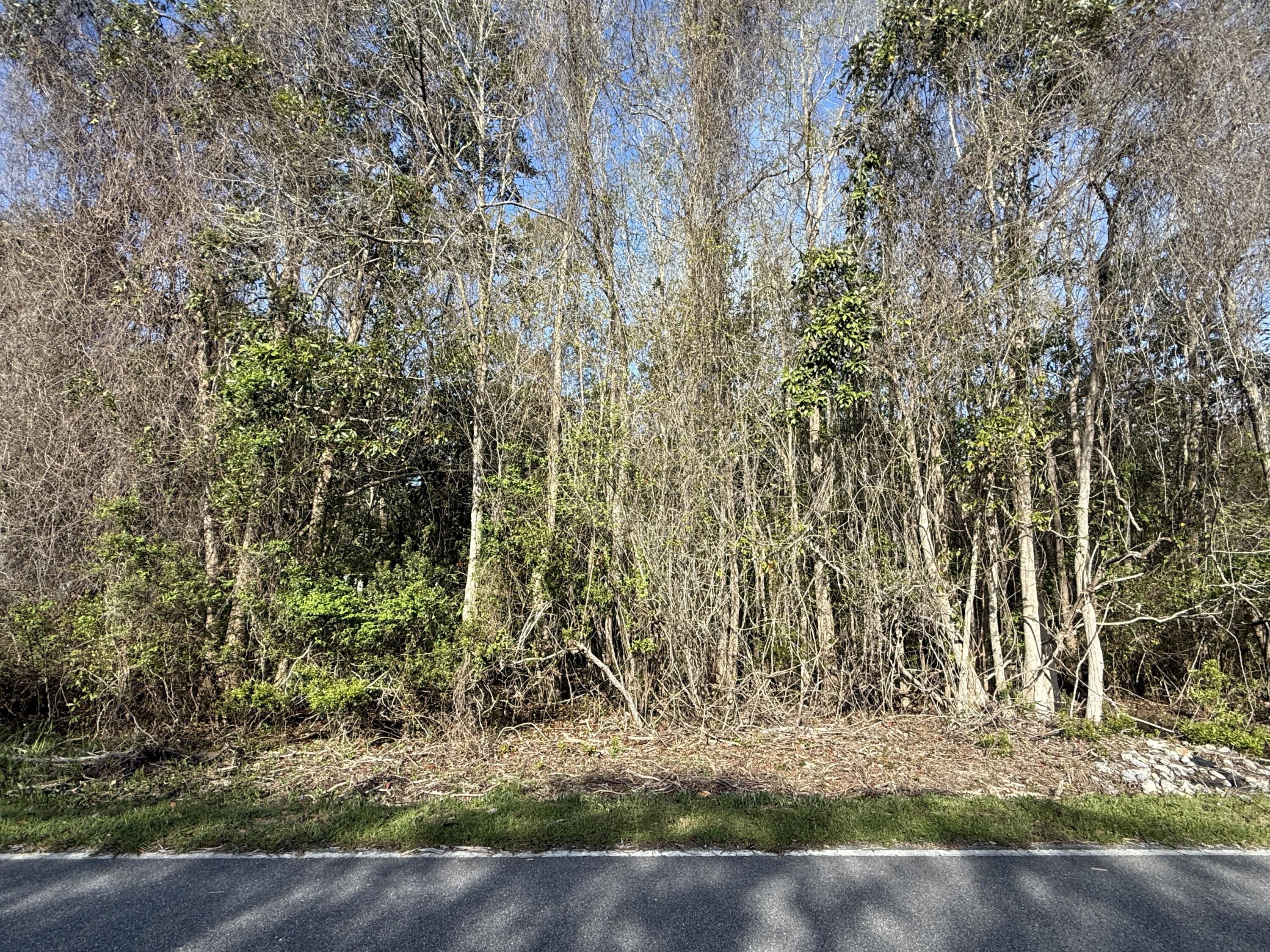 Lot 8 Marsh Avenue Freeport FL 32439