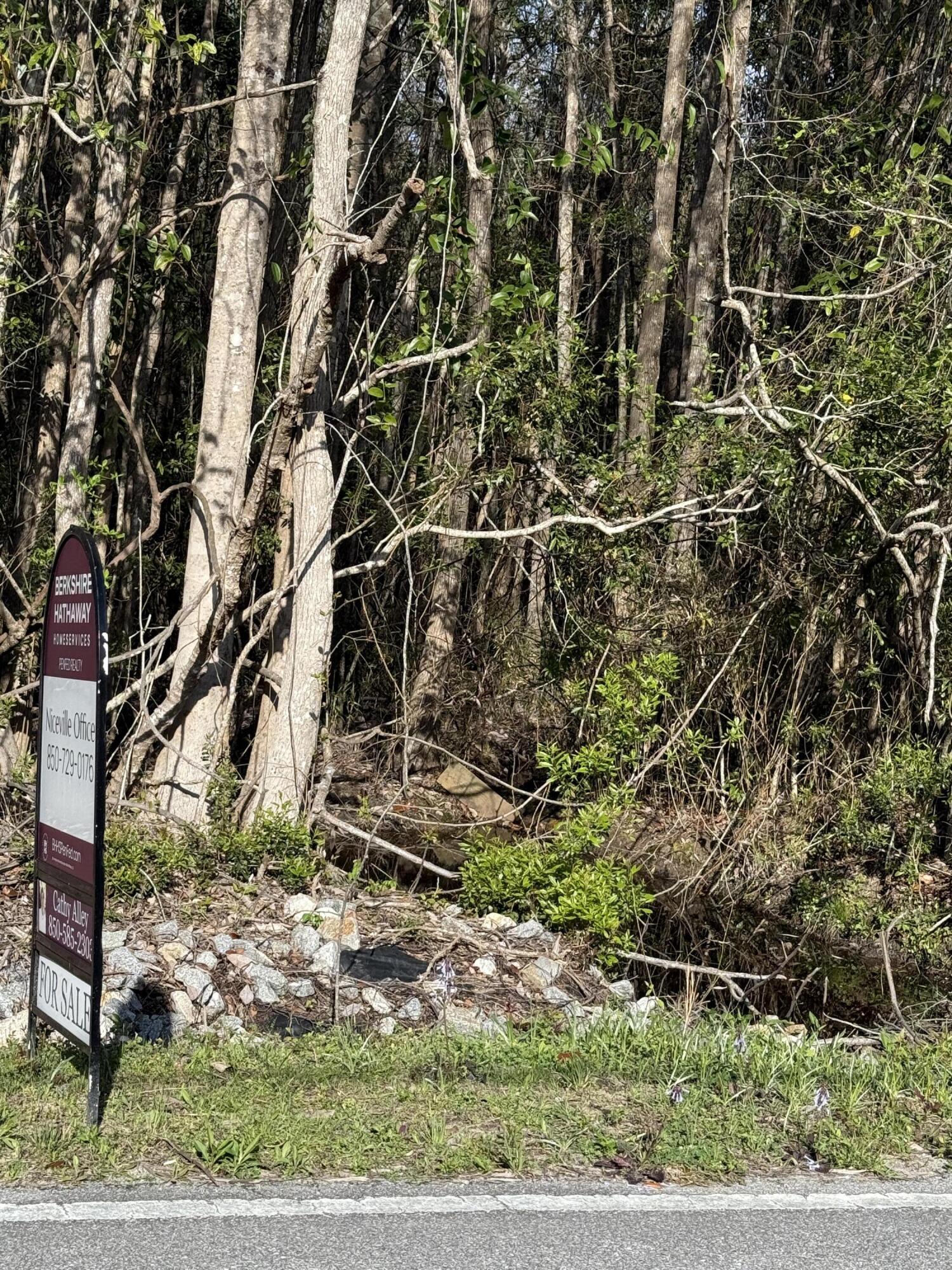 Lot 8 Marsh Avenue Freeport FL 32439