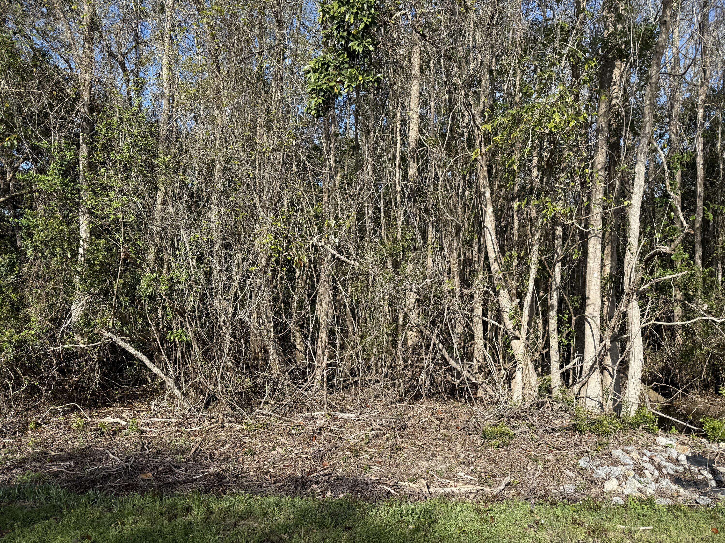 Lot 8 Marsh Avenue Freeport FL 32439