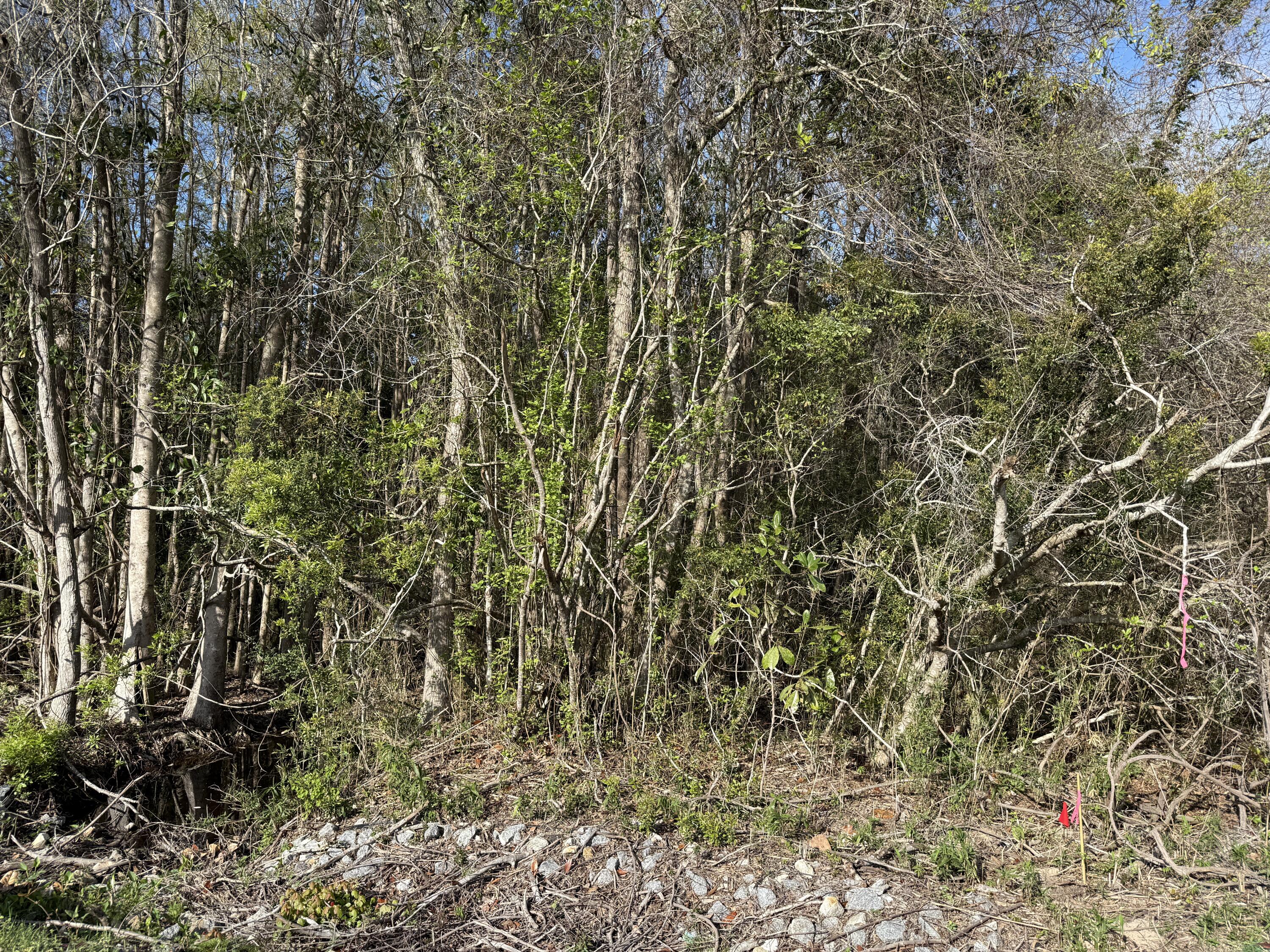 Lot 8 Marsh Avenue Freeport FL 32439
