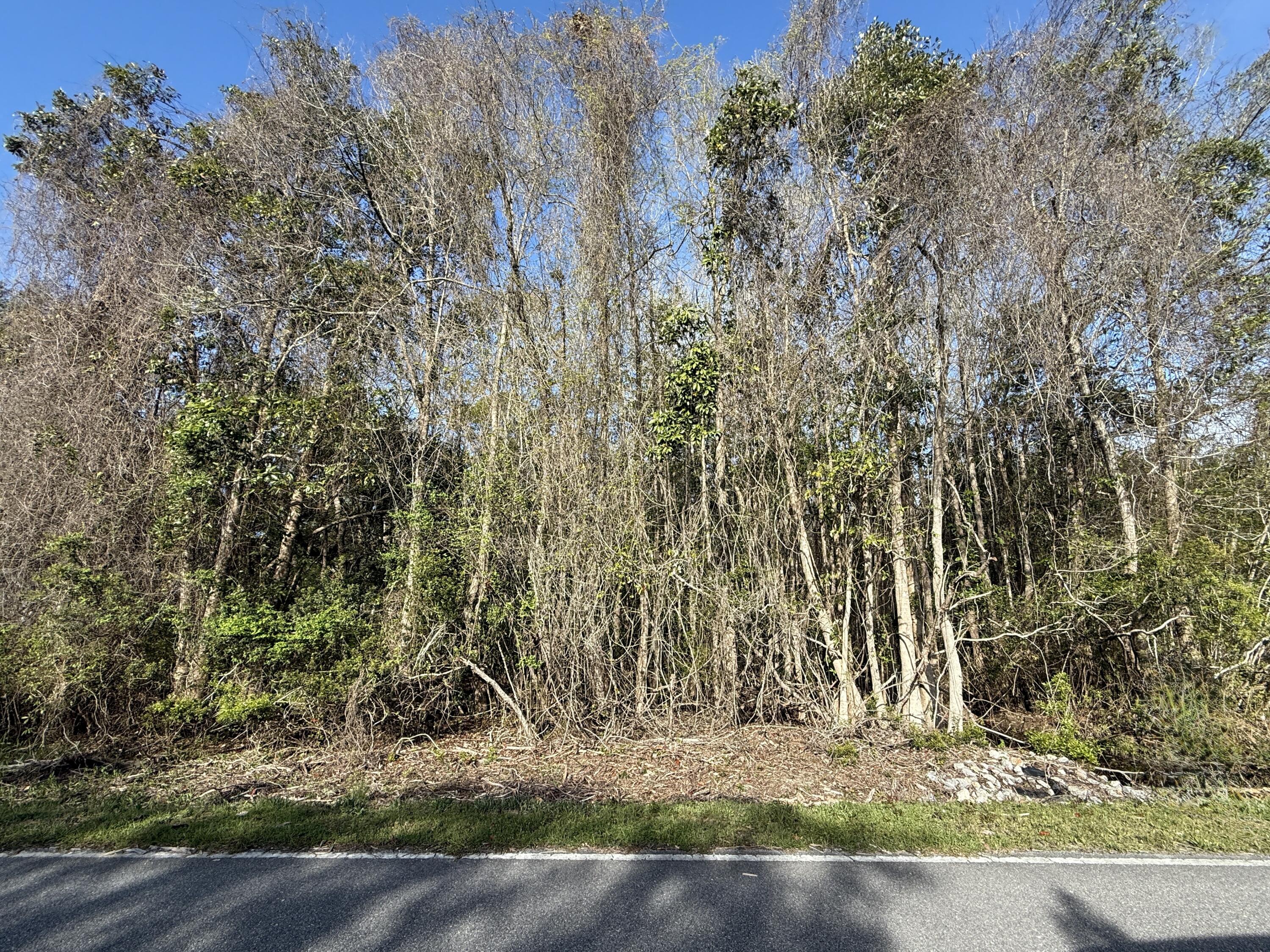 Lot 8 Marsh Avenue Freeport FL 32439