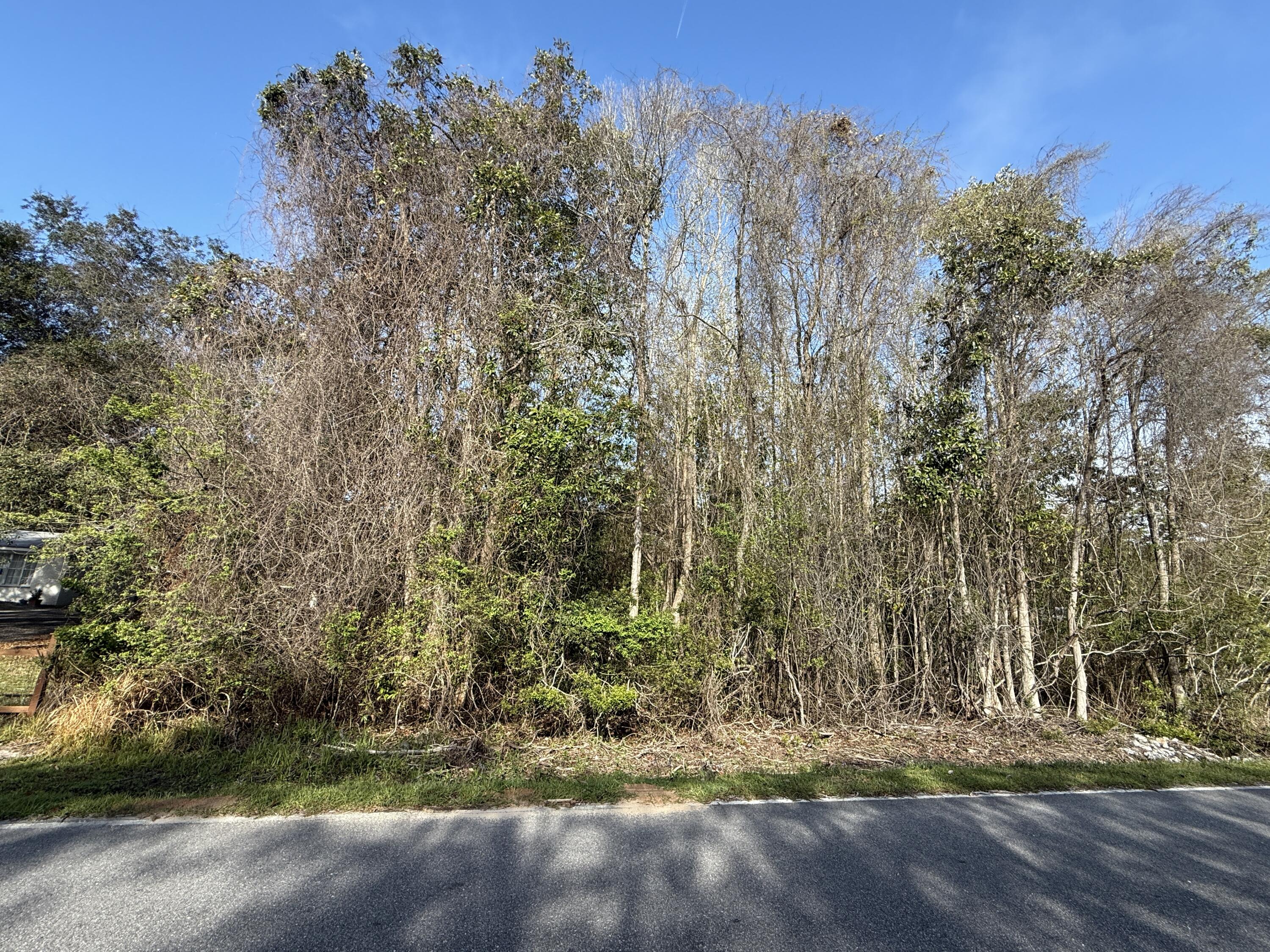 Lot 8 Marsh Avenue Freeport FL 32439